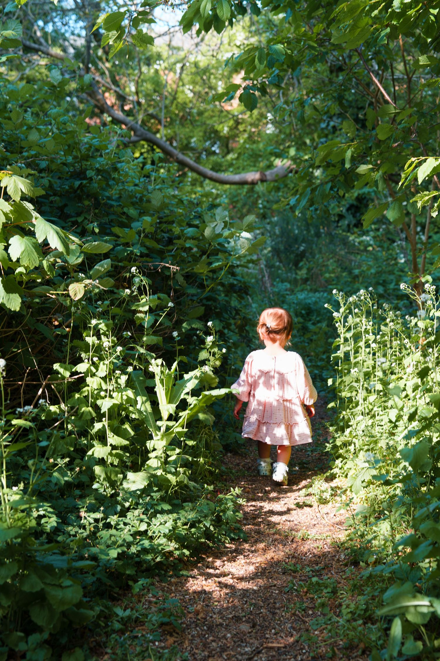 A toddler girl in a pink dress walks along a sunlit forest path surrounded by lush green foliage.