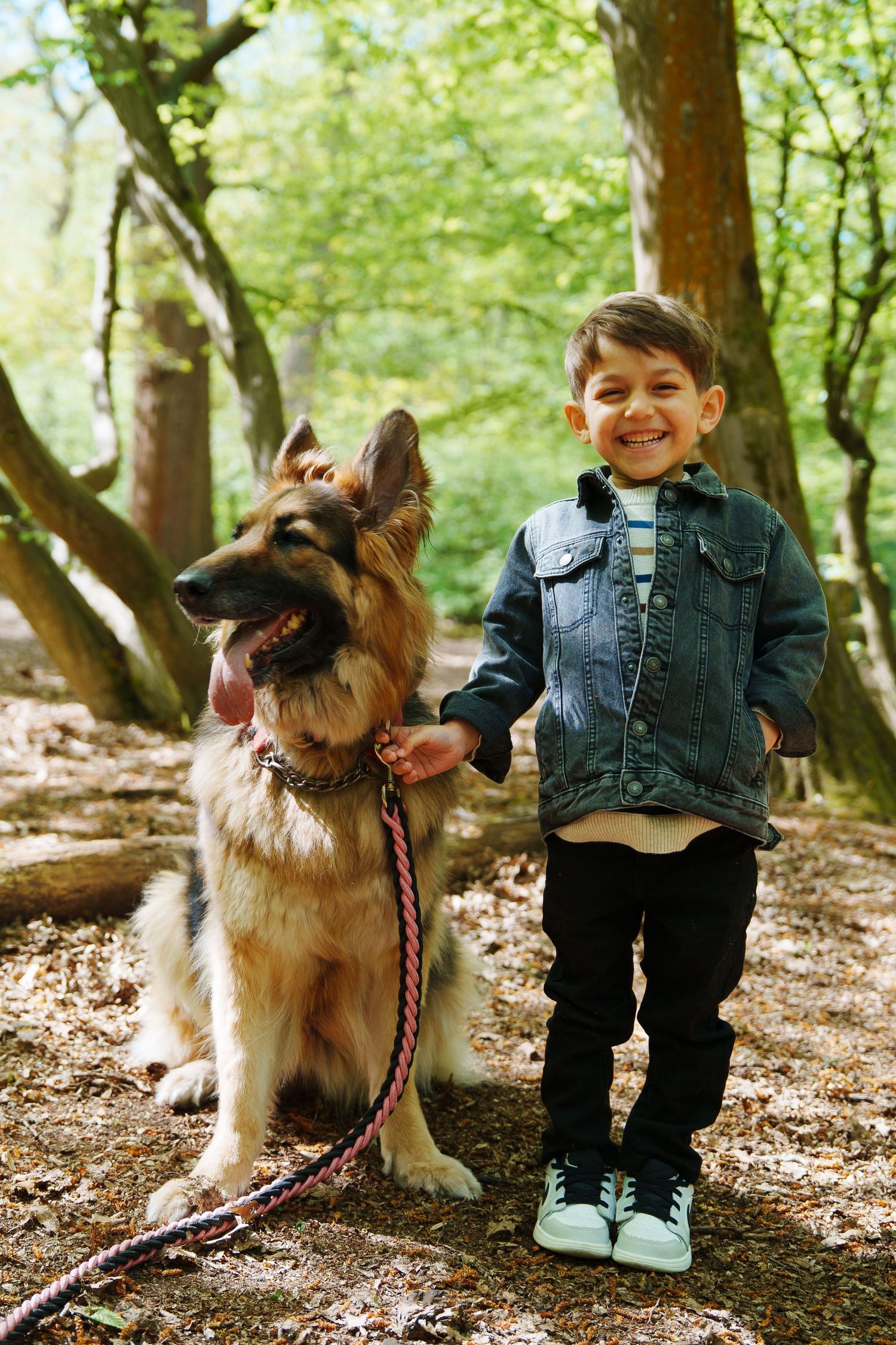 A smiling boy in a denim jacket holds the leash of a German Shepherd dog in a sunlit forest.