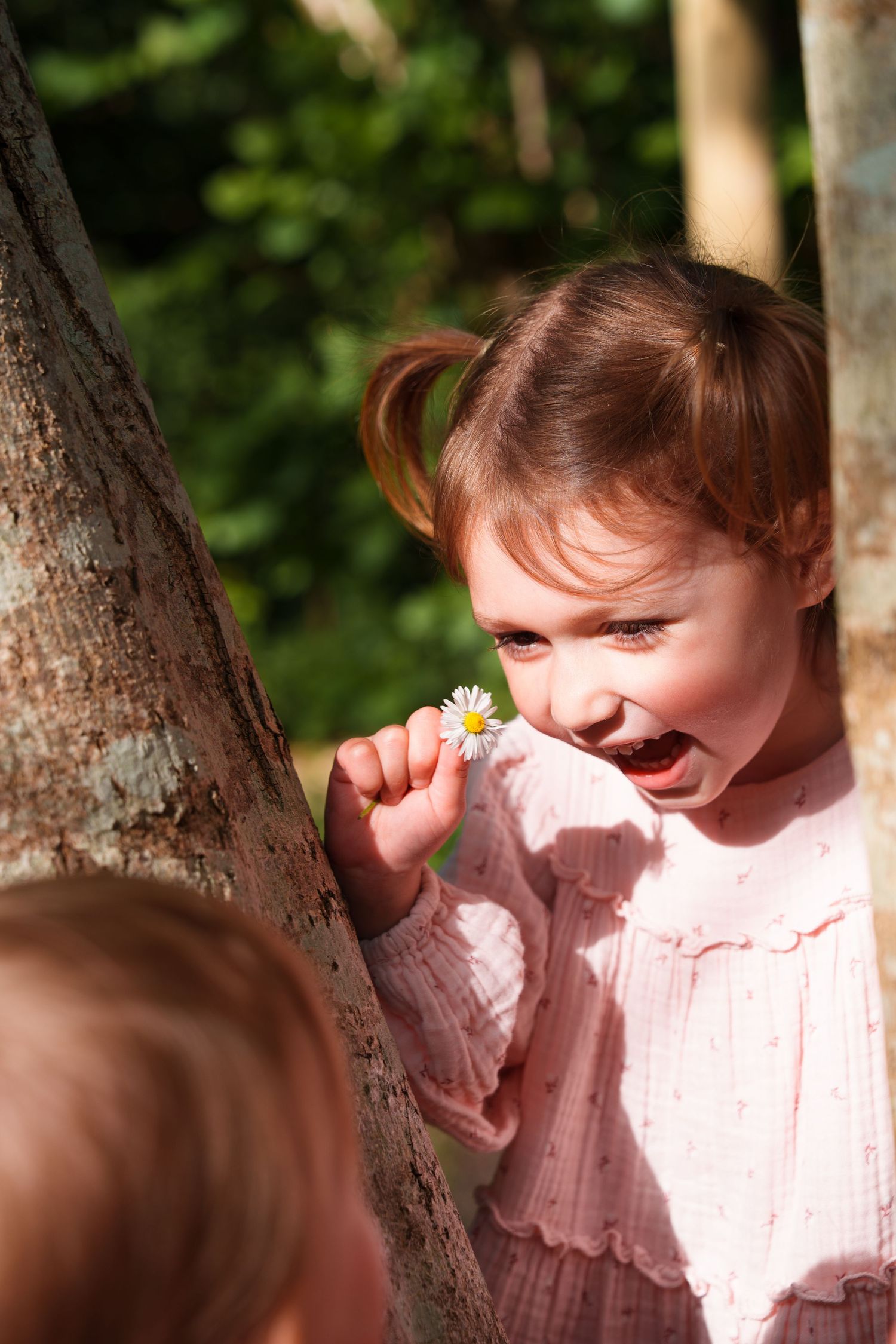 Happy little girl in pink dress holding a white daisy flower near a tree in a sunny outdoor setting.