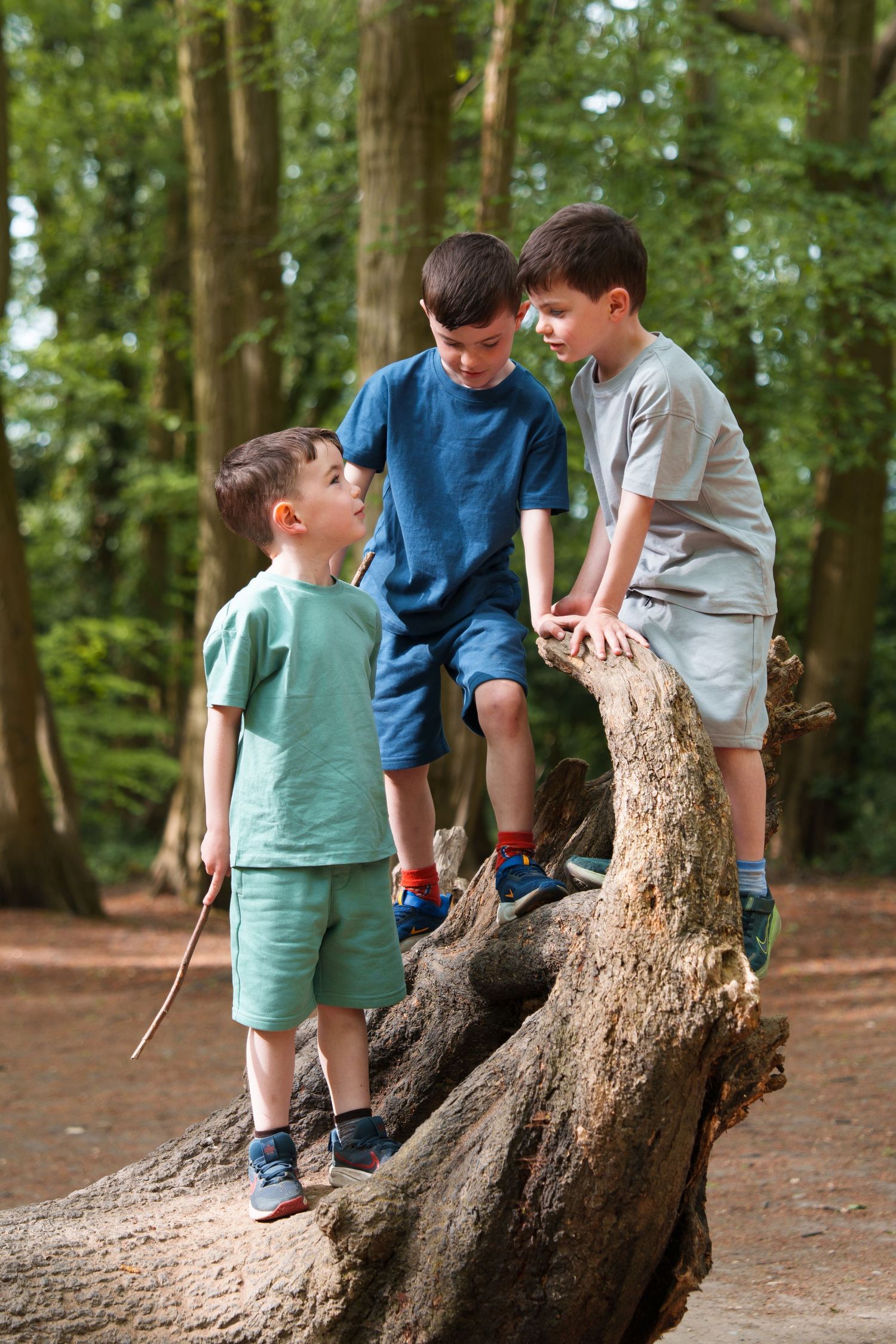Three young boys playing on a fallen tree trunk in a lush green forest during a sunny day.