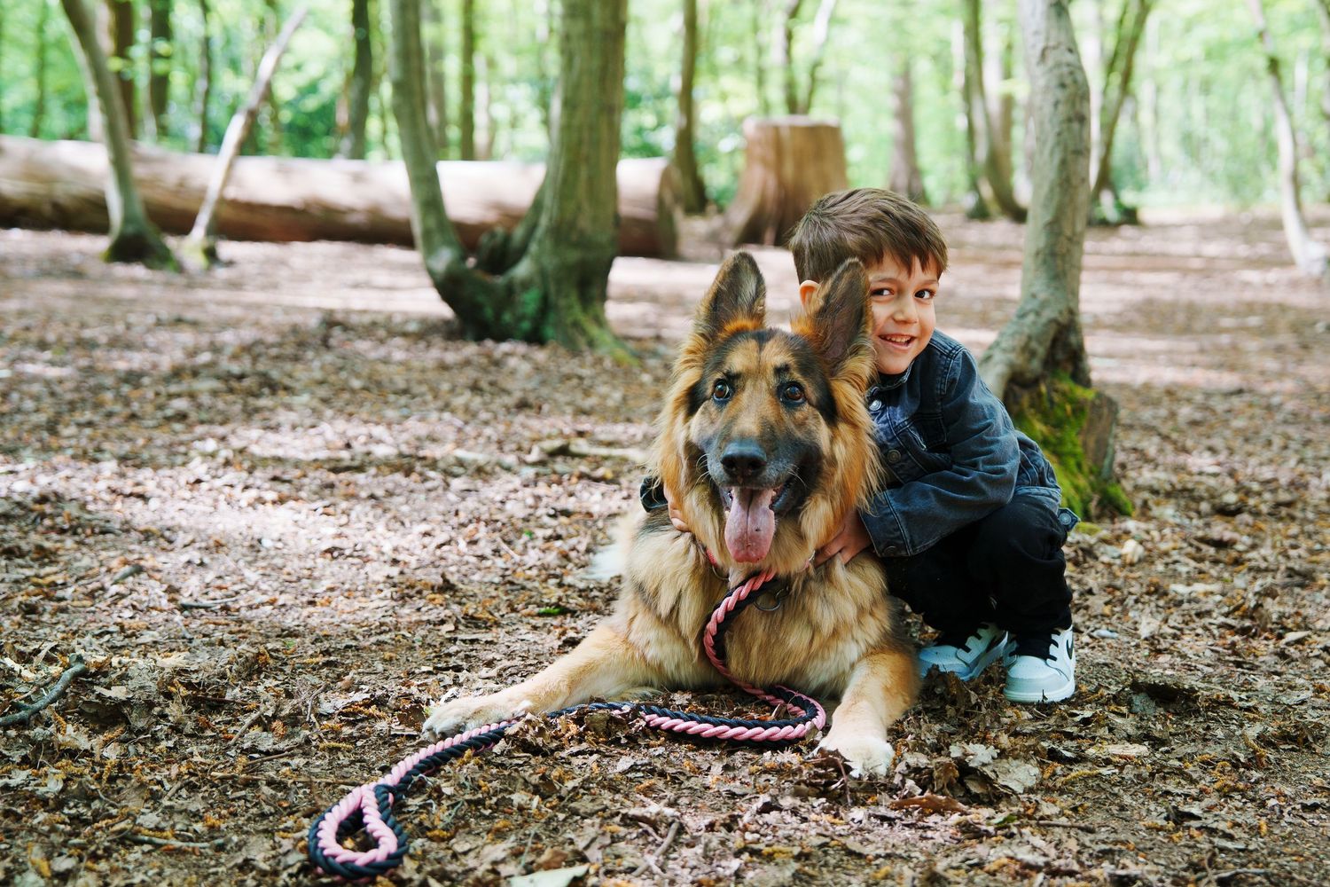 A young boy poses with a large German Shepherd dog on a leash in a woodland forest setting.