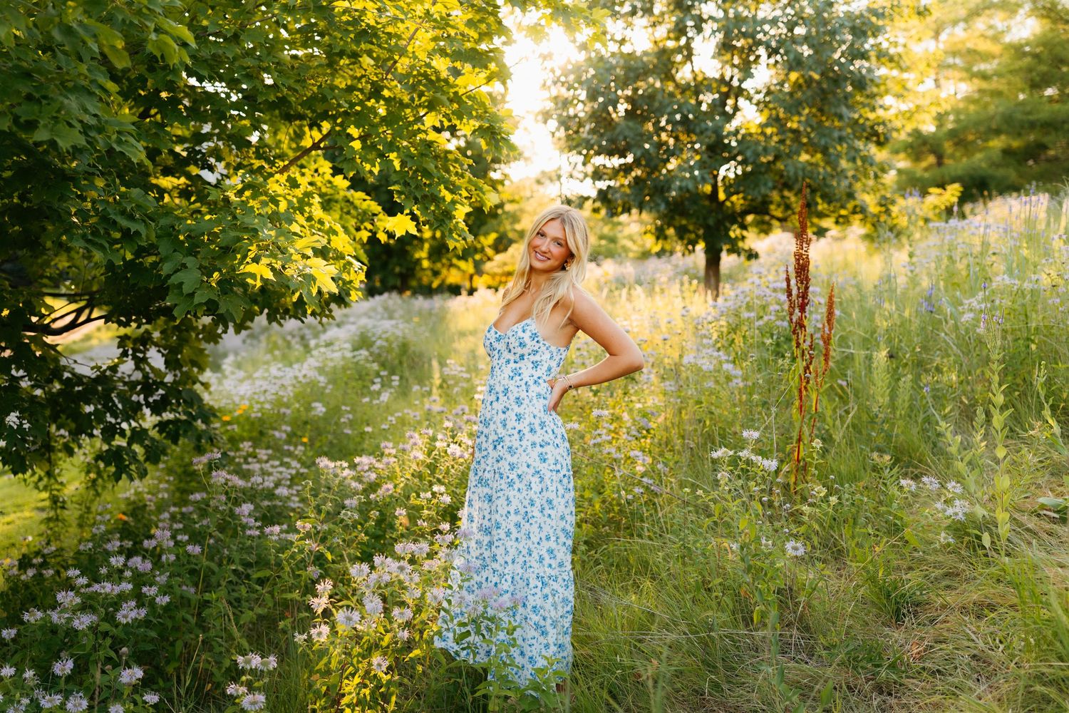 Lush garden setting with yellow flowers and trees in golden evening light.