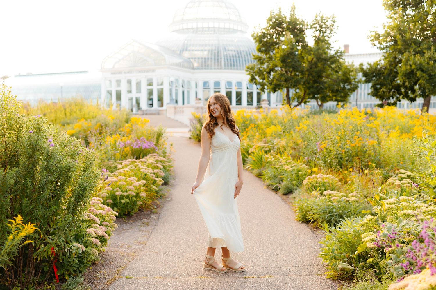 Garden path surrounded by yellow wildflowers and natural landscaping.