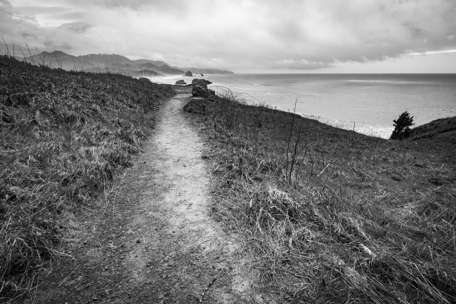 Black and white coastal trail winding along grassy cliffs overlooking the ocean.