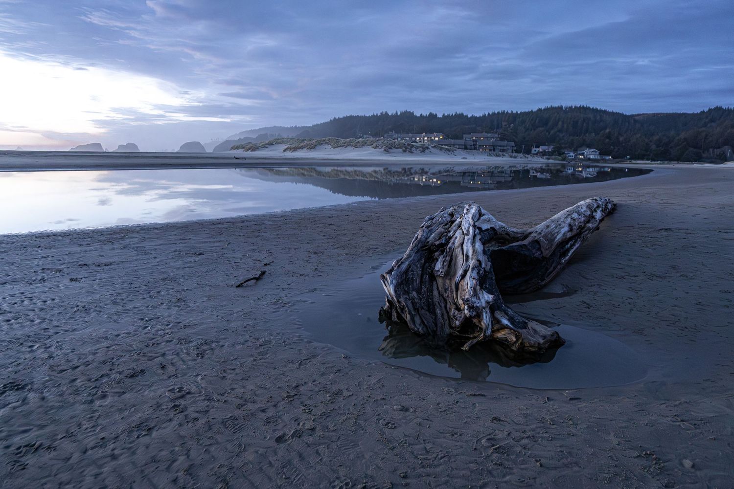 Serene beach landscape with driftwood on sand and mountains visible in the distance.