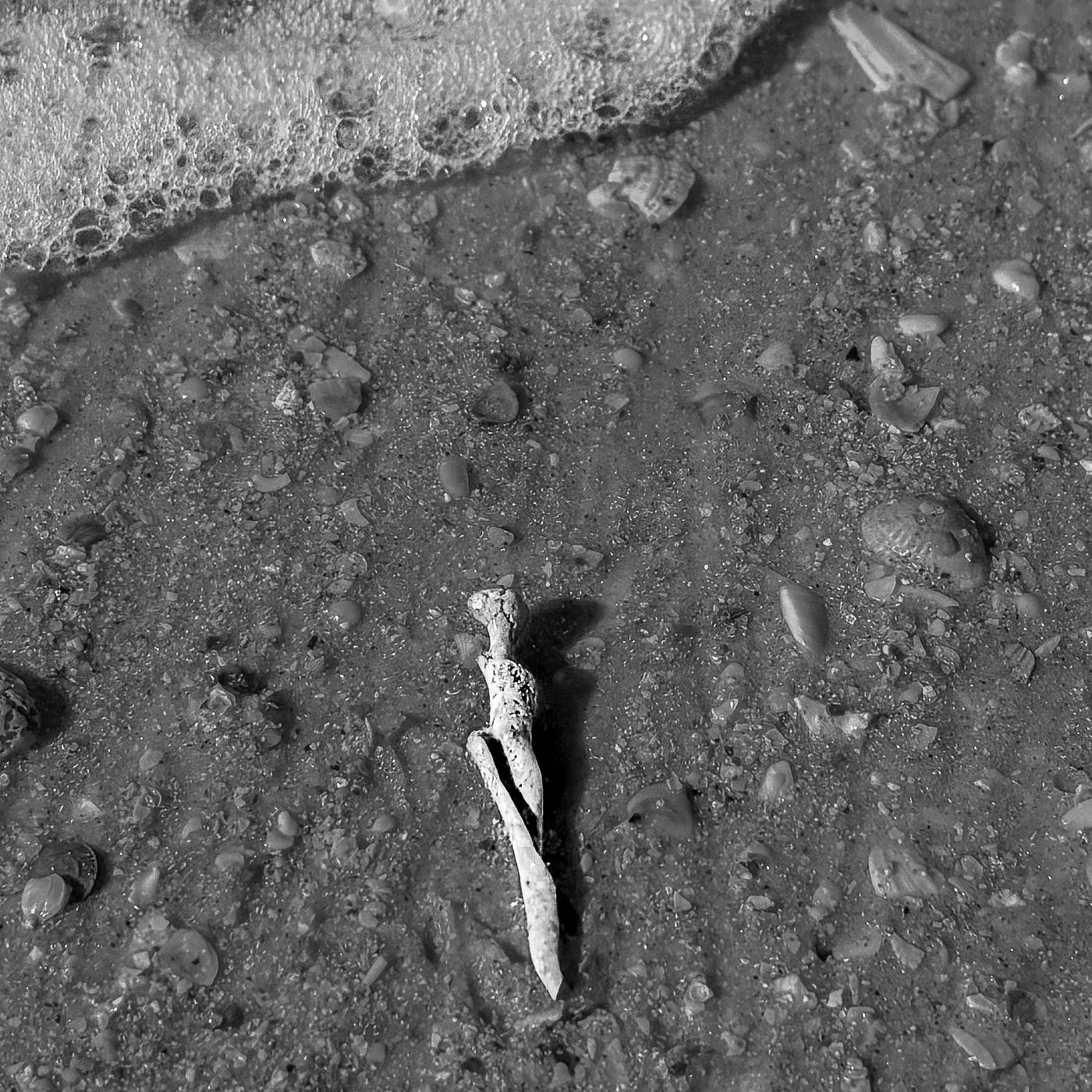Ancient corroded dagger lying on rocky sandy ground, black and white archaeological discovery photo.