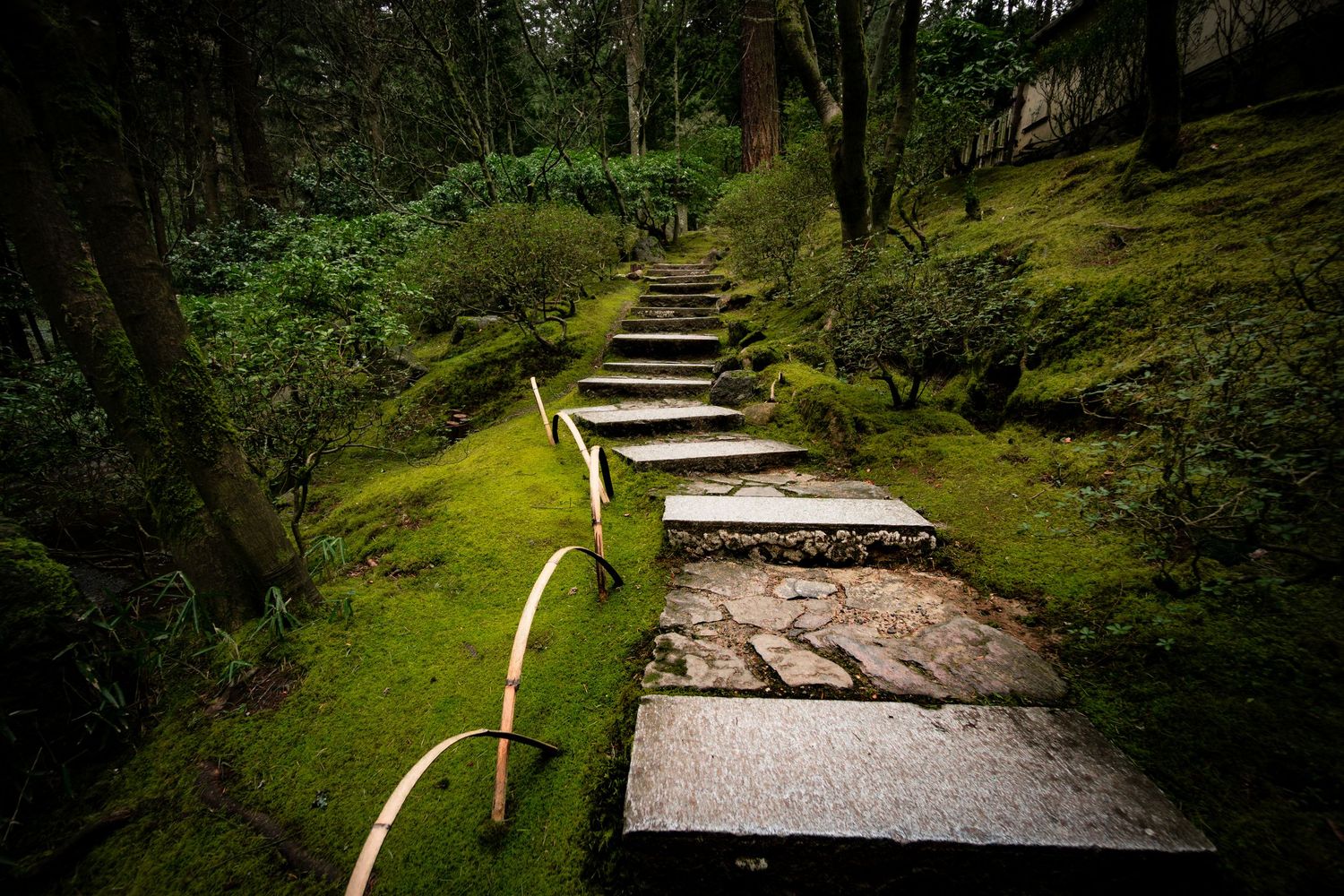 Stone steps winding through a mossy green forest path with wooden railings.