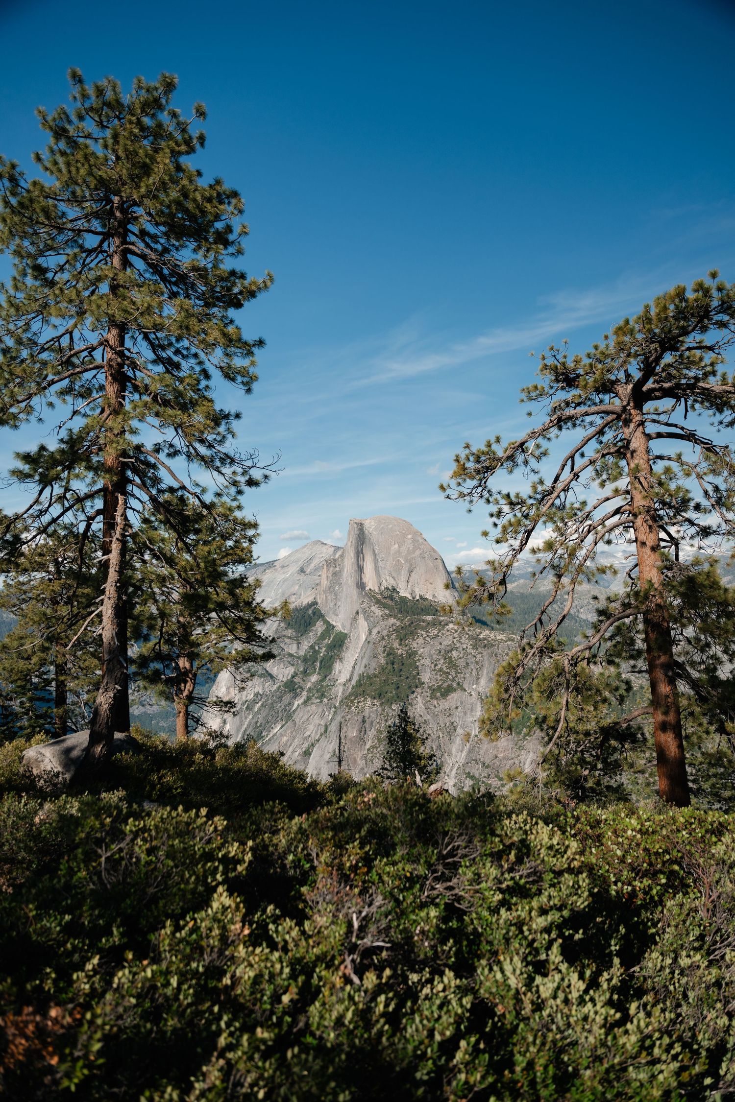 Scenic view of Half Dome in Yosemite National Park framed by tall pine trees under blue sky.