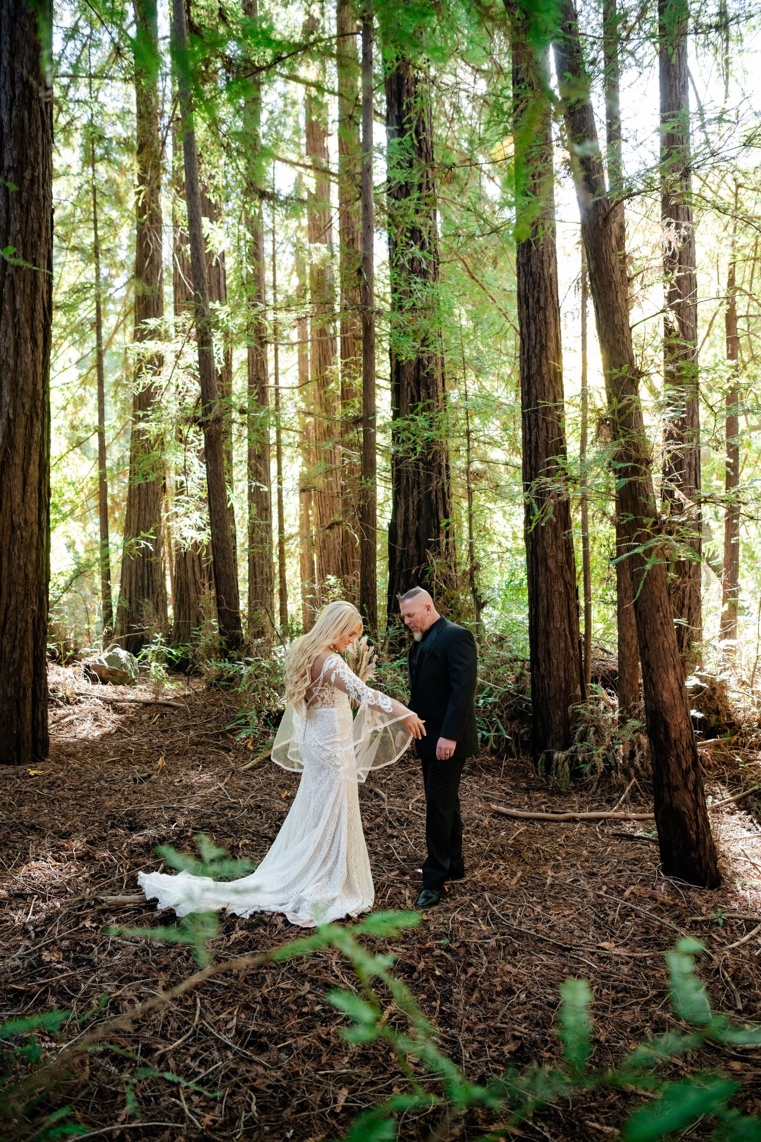 A romantic wedding photo in a serene redwood forest with sunlight filtering through tall trees.