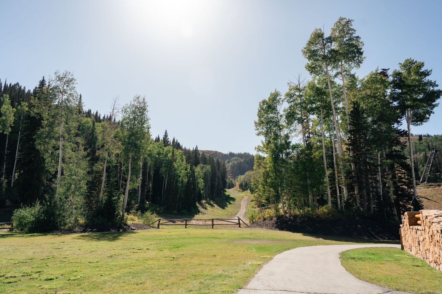 A curved pathway leads through a mountain meadow surrounded by tall evergreen and aspen trees on a sunny day.