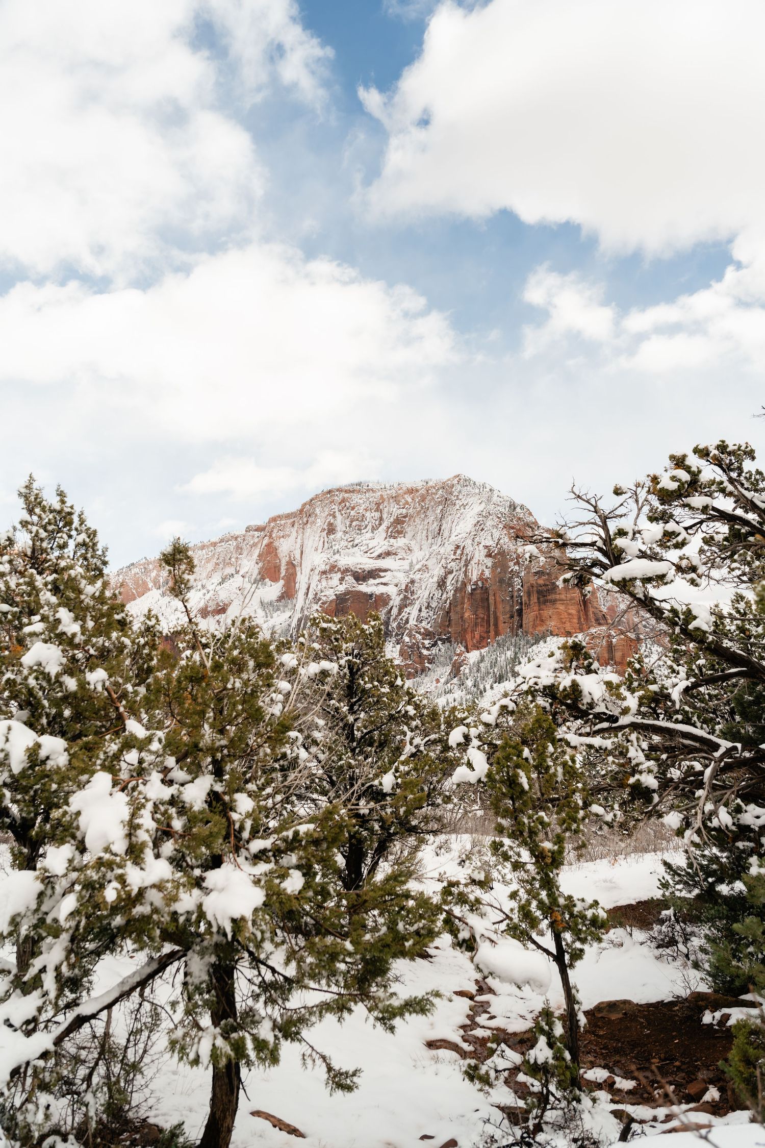 Snow-covered red rock formations and evergreen trees under cloudy skies at Zion National Park.