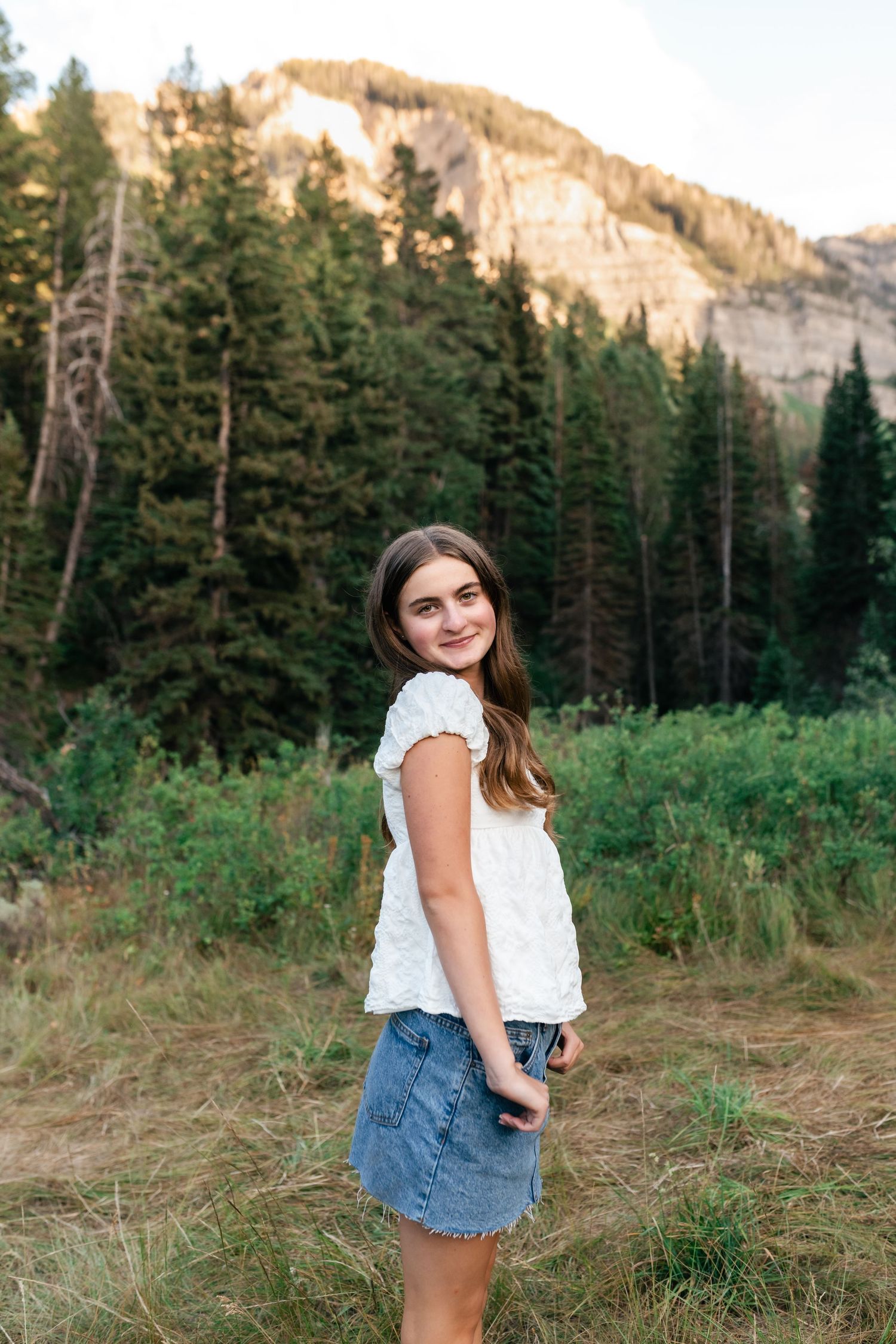 Mountain landscape portraits with evergreen trees and rocky peaks in the background.