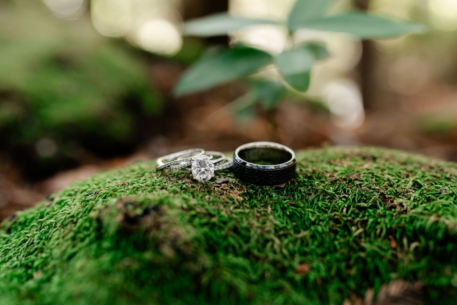 Wedding rings nestled on vibrant green moss in a macro nature shot.