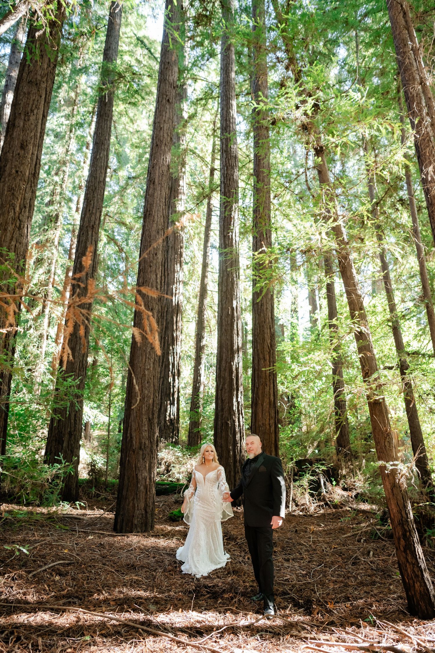 A couple walks through a serene redwood forest in formal wedding attire.