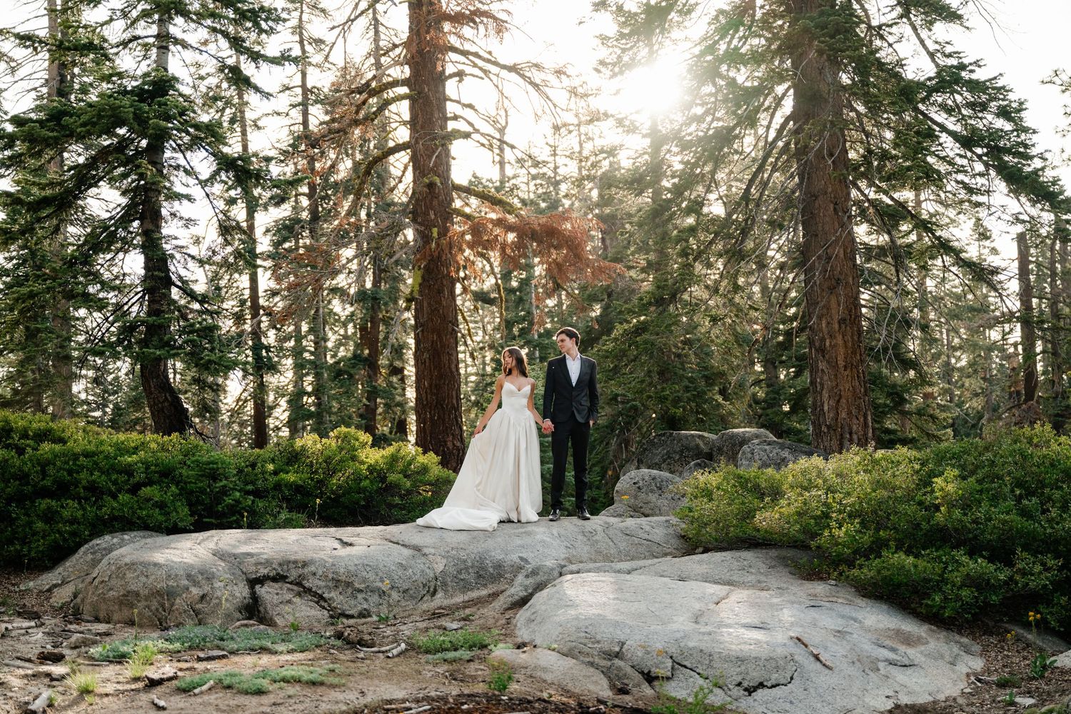 Wedding couple stands on forest boulders surrounded by tall pine trees in golden sunlight.