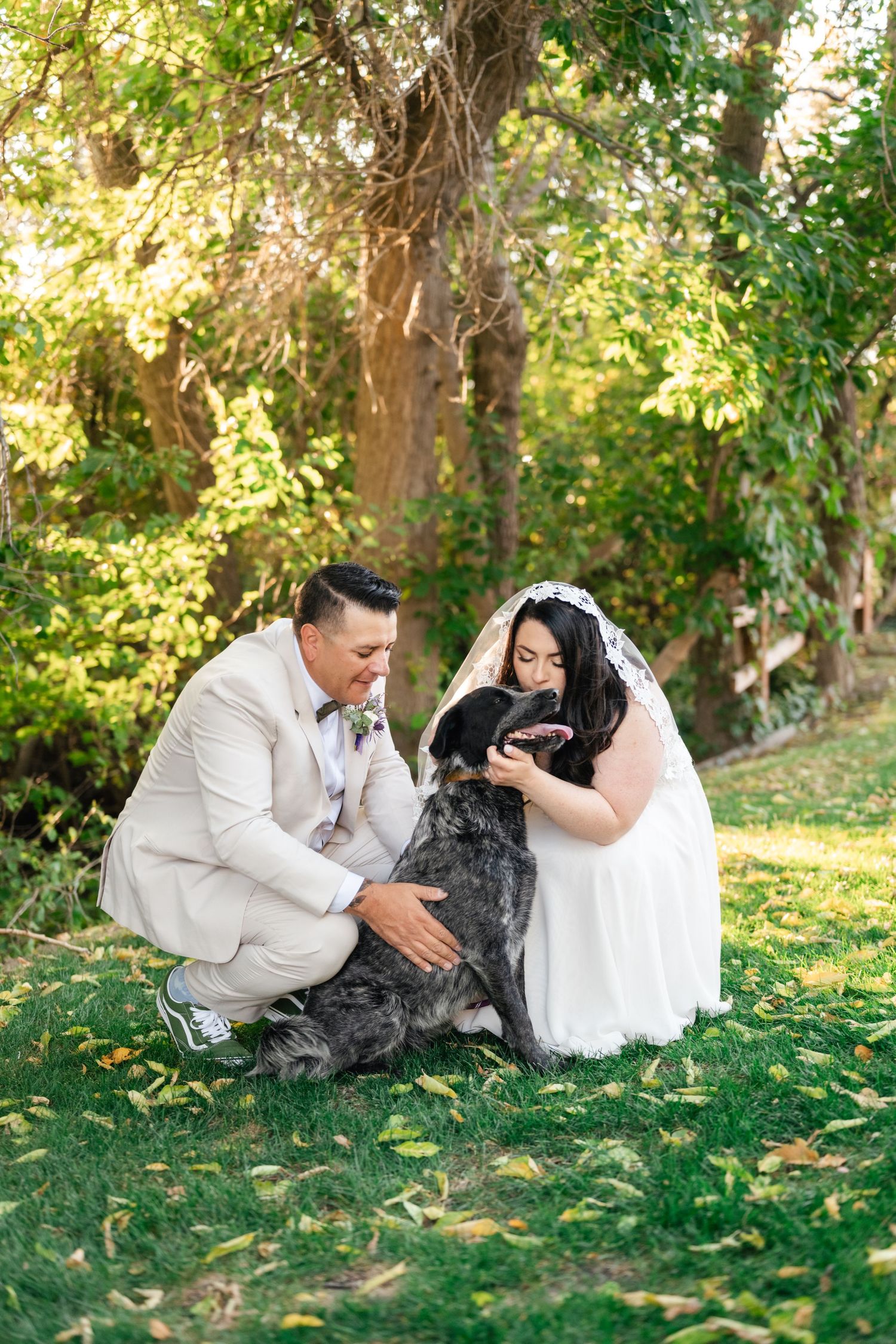 A couple in wedding attire sits on grass with their border collie mix in a garden setting. Alpine Art Center. Utah Wedding Photographer.