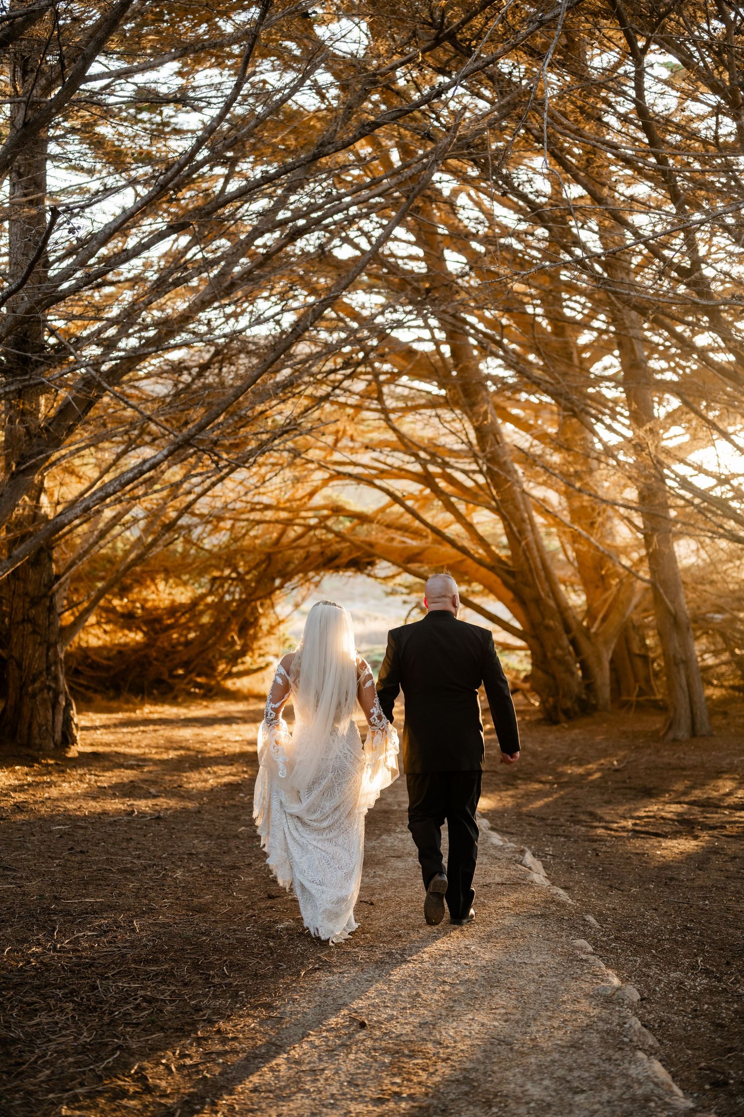 A couple walks under golden cypress trees during sunset.