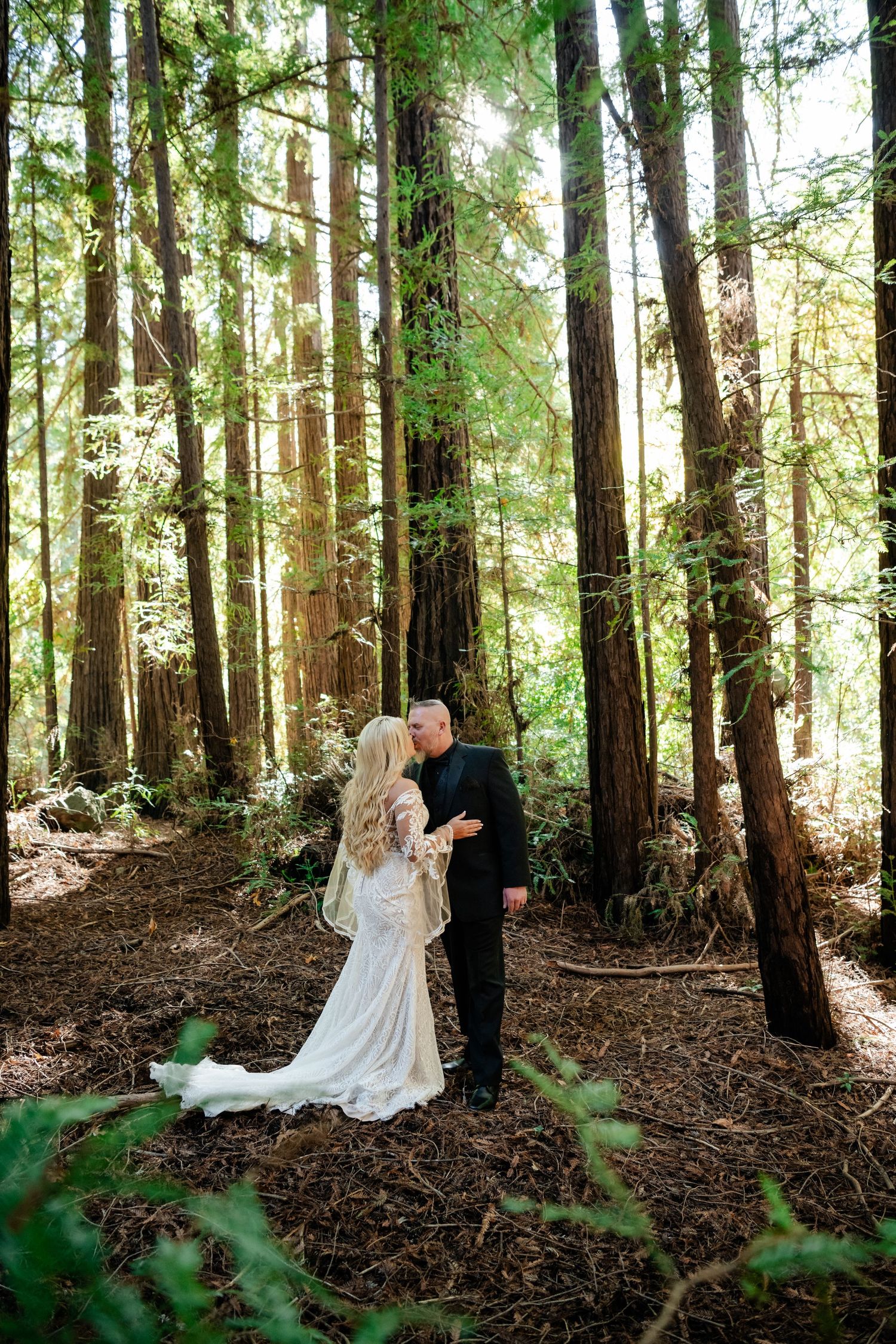 Romantic wedding photo shoot in a majestic redwood forest with flowing white lace gown.