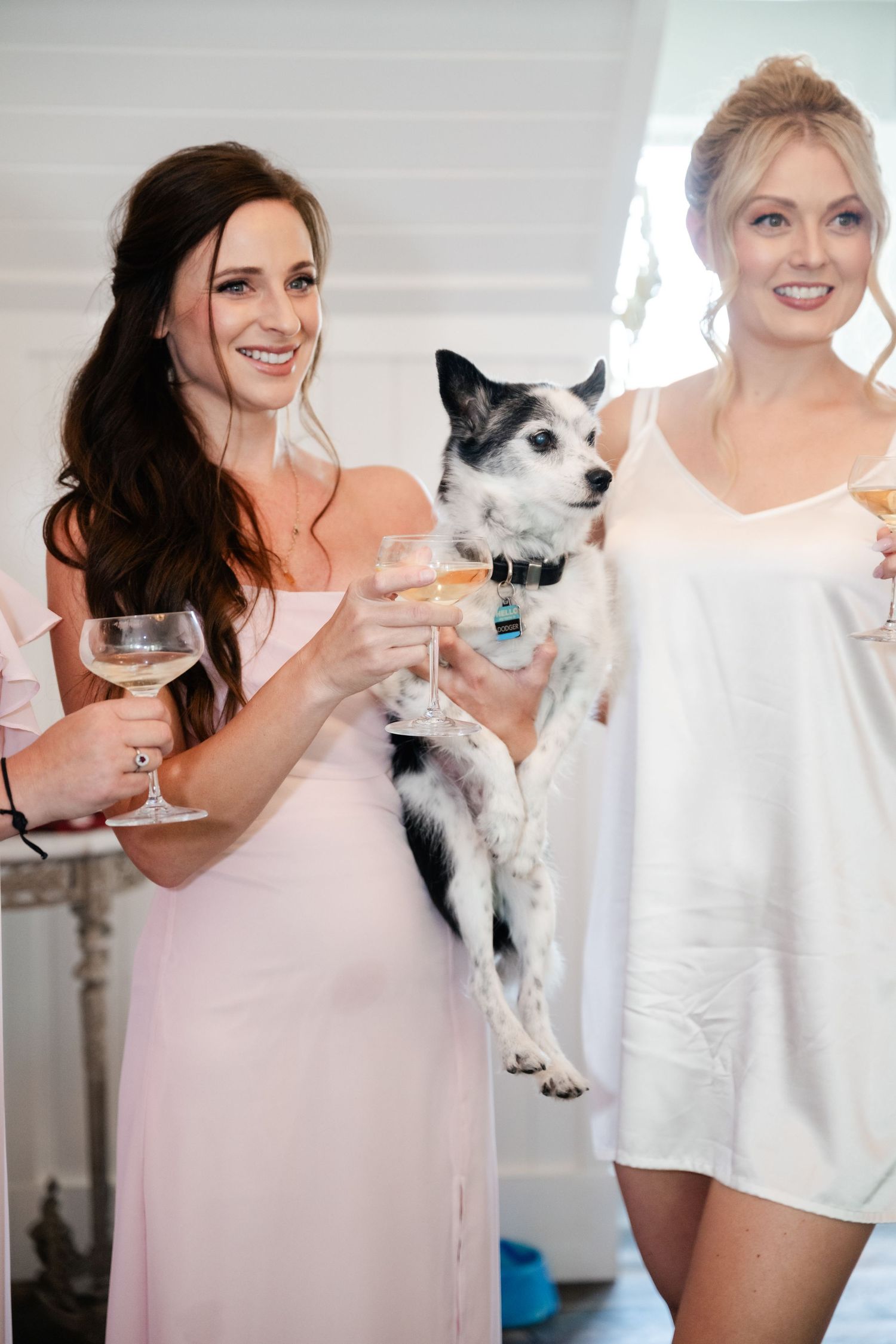 A group celebrates with champagne and a small white dog in matching white attire.