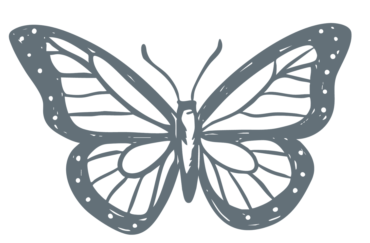 A hand-drawn gray butterfly illustration with detailed wing patterns and dotted edges on a white background. Utah Elopement Photographer.