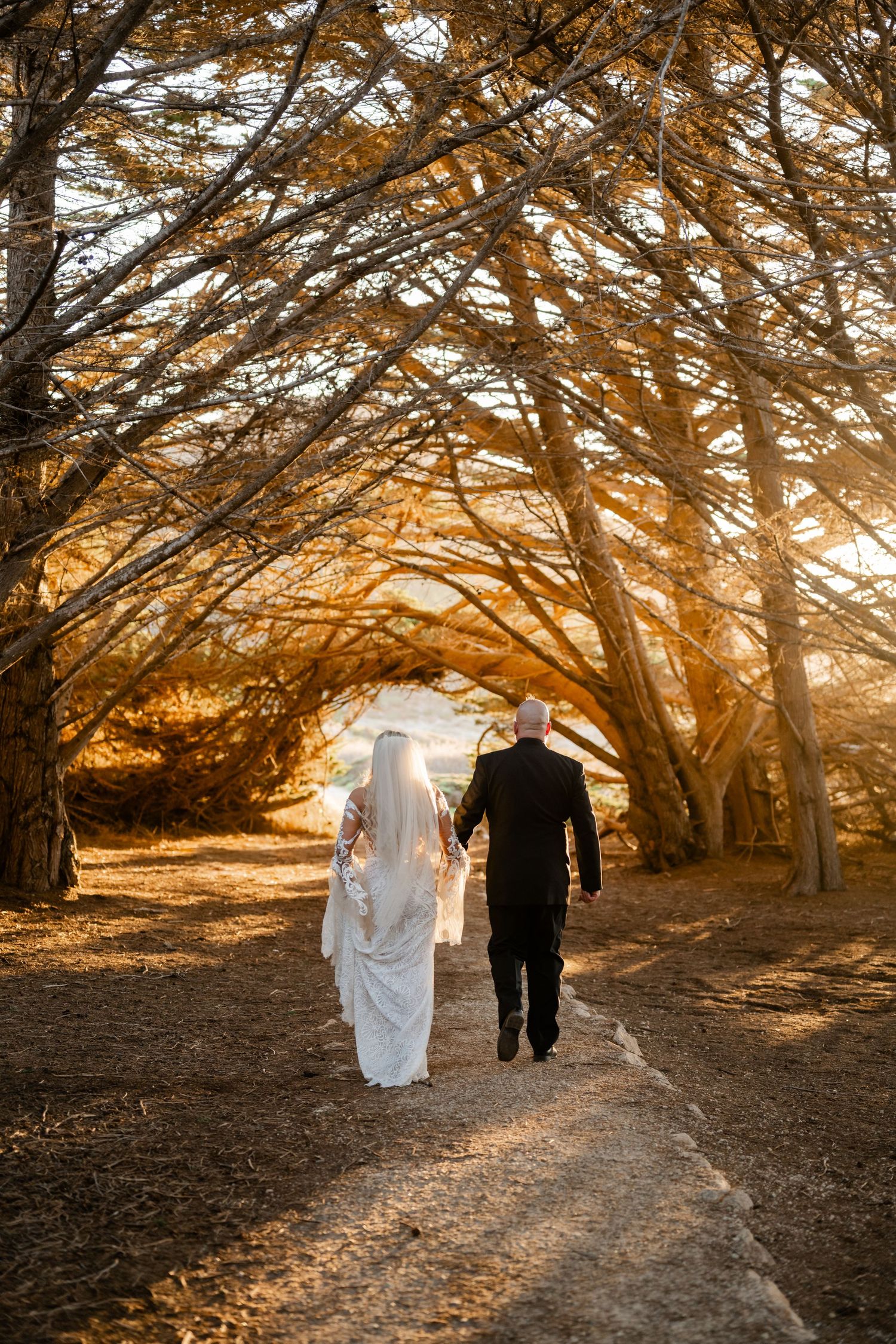 Newlyweds walk through a golden-lit cypress tree tunnel on their wedding day.