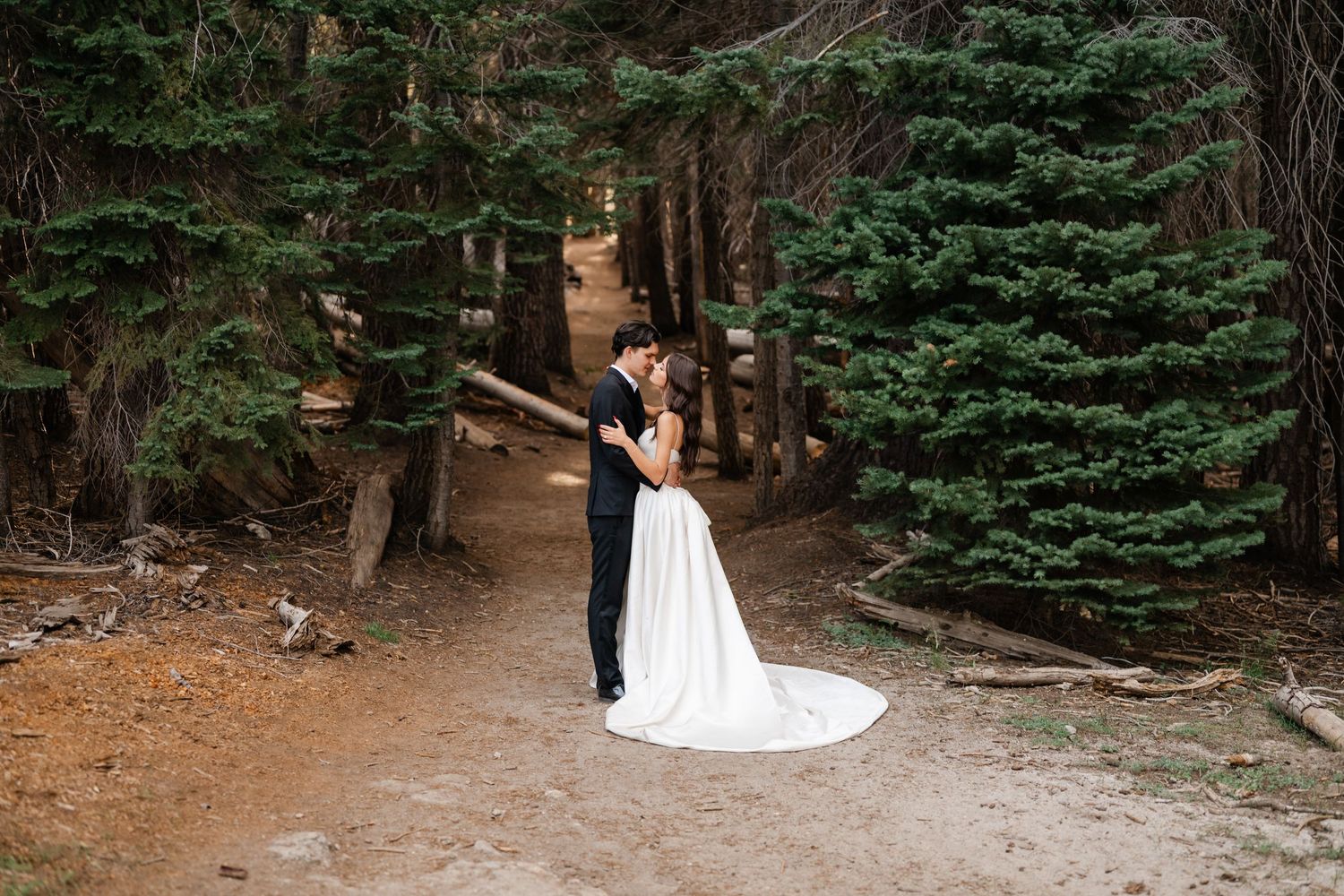 Bride and groom share a romantic kiss on a forest path surrounded by tall evergreen trees in a wedding photo.