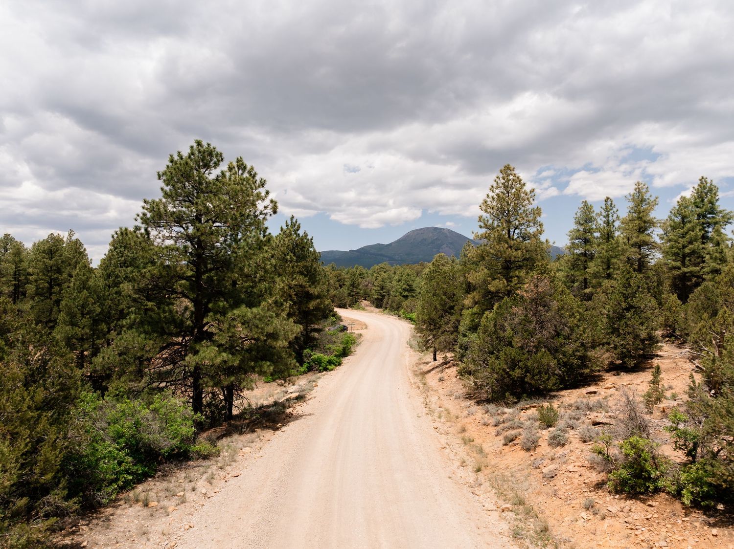 Winding dirt road through mountain landscape with pine trees and cloudy sky.