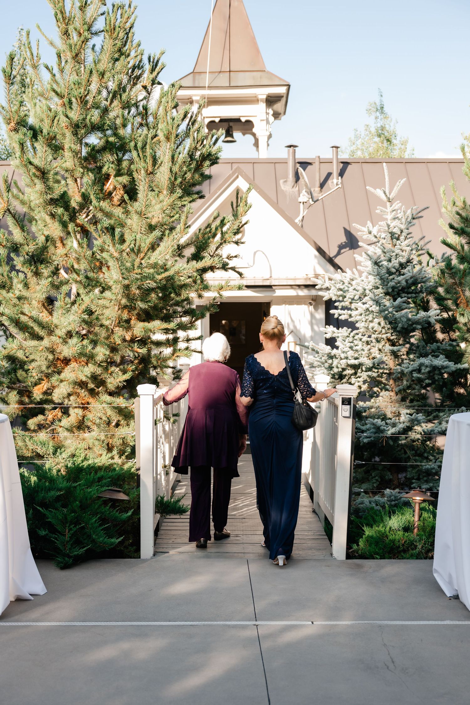 Outdoor walkway lined with white pillars and pine trees leading to a brown building.