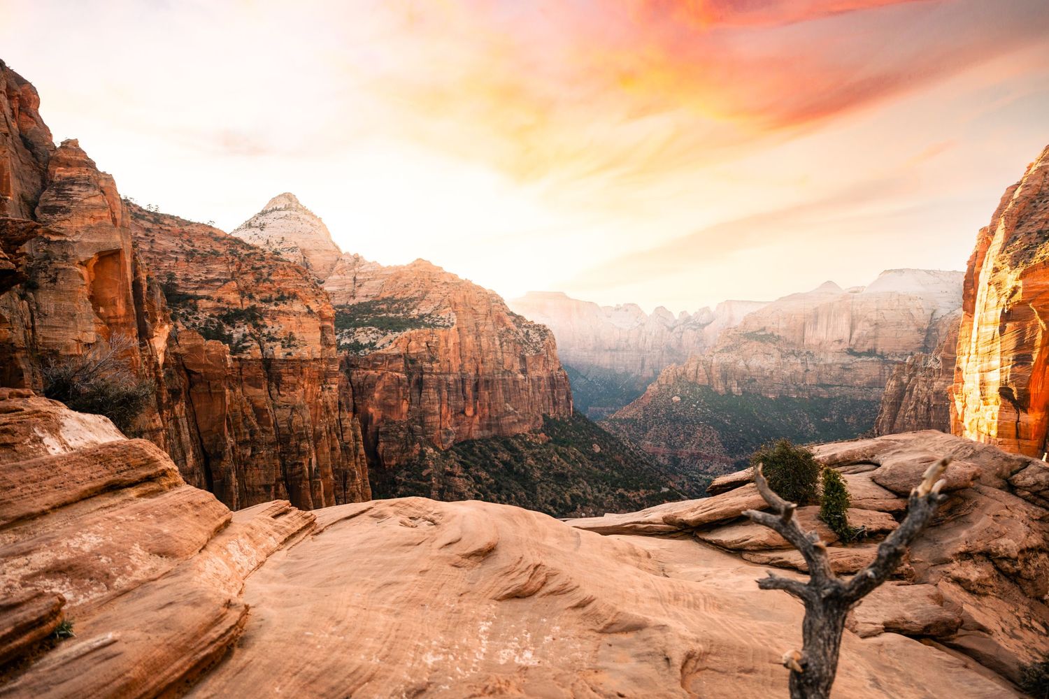 Landscape image of a pink and orange sunset at the Overlook at Zion National Park by Coley Cook Photography