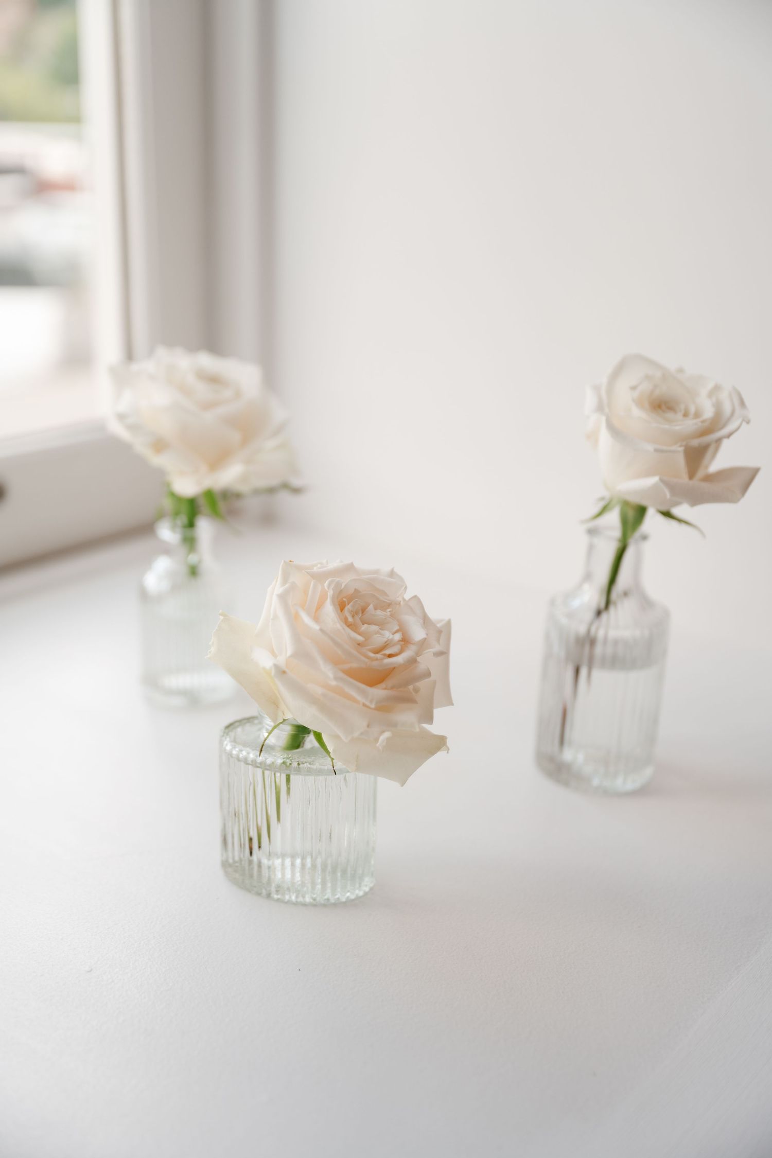 Three delicate blush roses displayed in individual glass bud vases on a white surface.