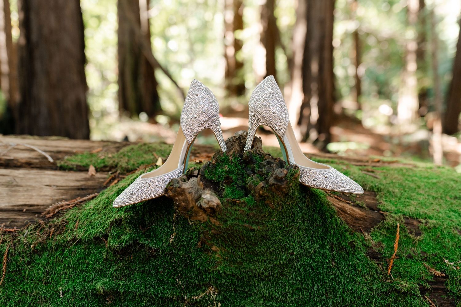 Wedding rings displayed on green moss with natural forest lighting in the background.