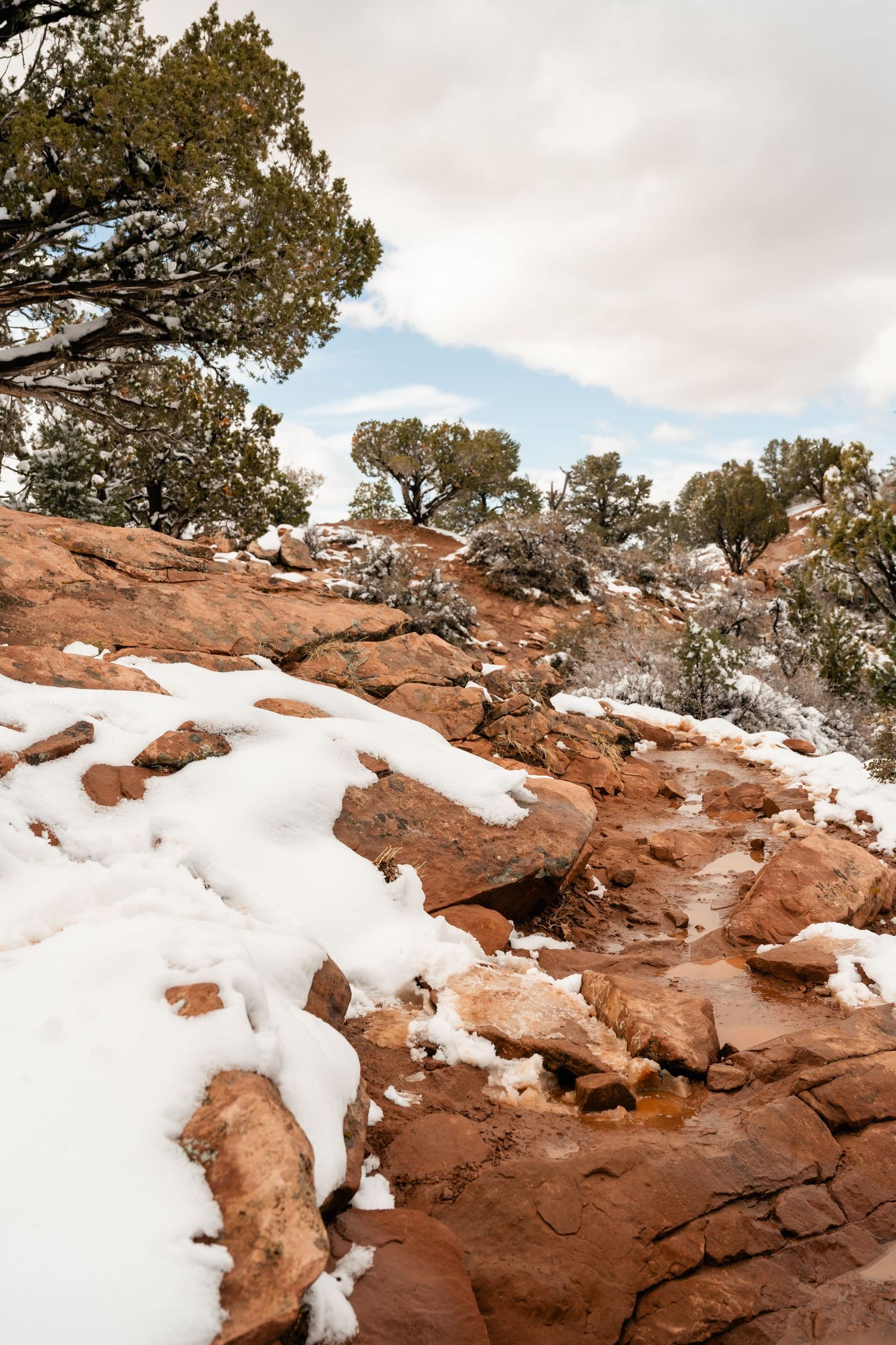 Snow covered red rock formations in a desert landscape with evergreen trees.