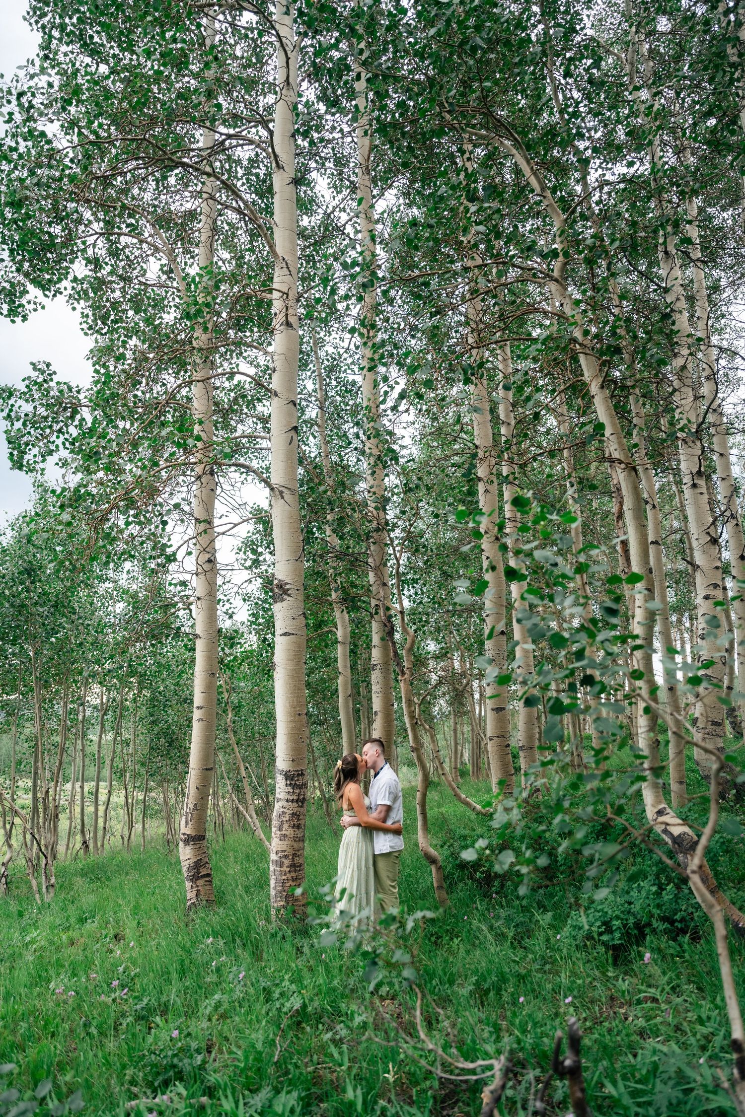 Romantic couple embraces in a serene aspen grove with sunlight filtering through the white bark trees.