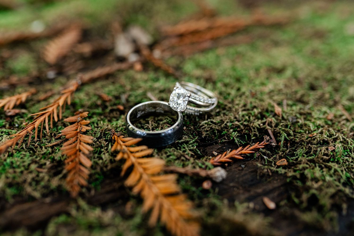 Wedding rings nestled on green moss with dried brown fern leaves in a natural woodland setting.