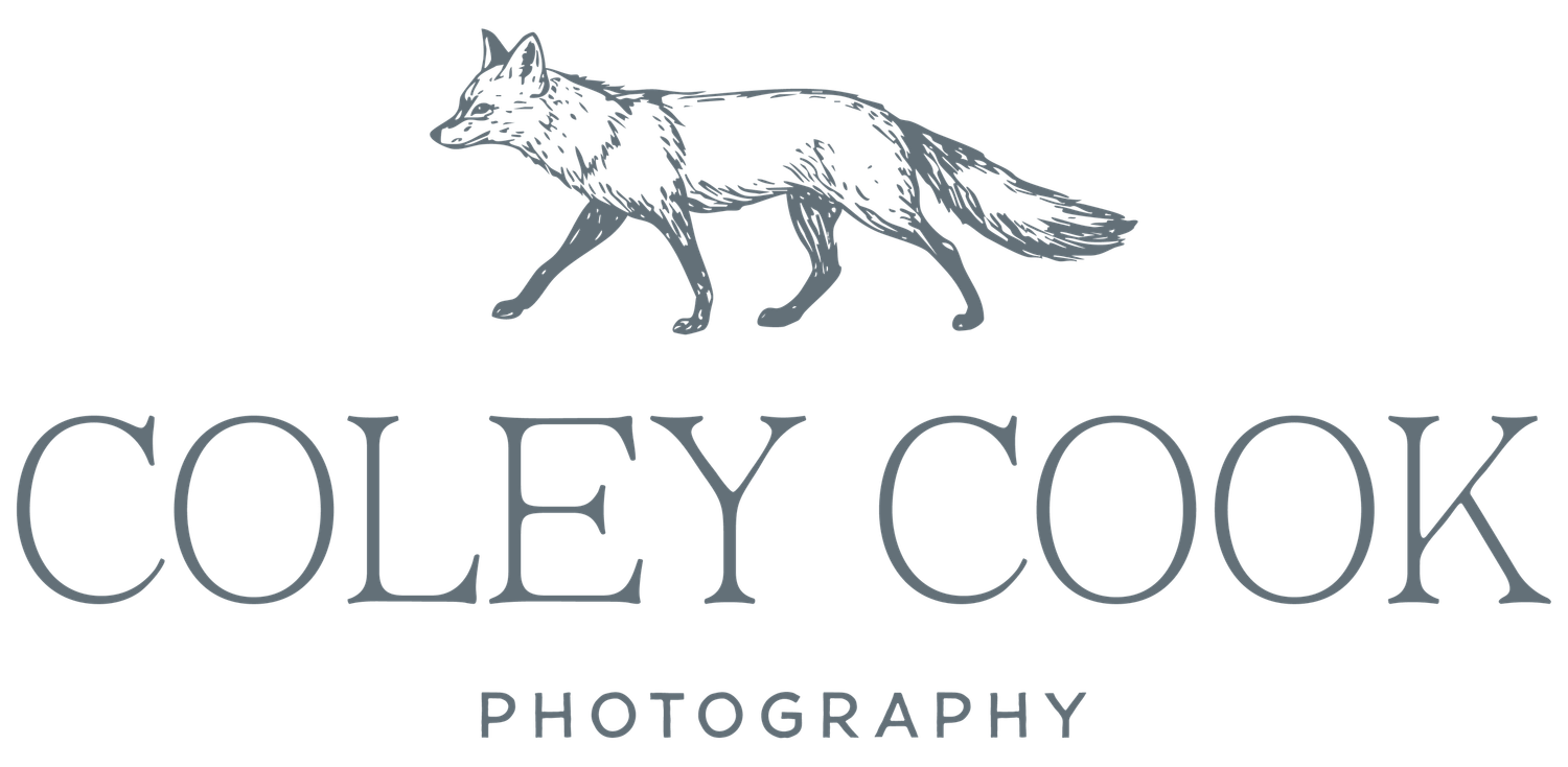 Coley Cook Photography logo featuring an illustrated fox above elegant serif text on a white background.