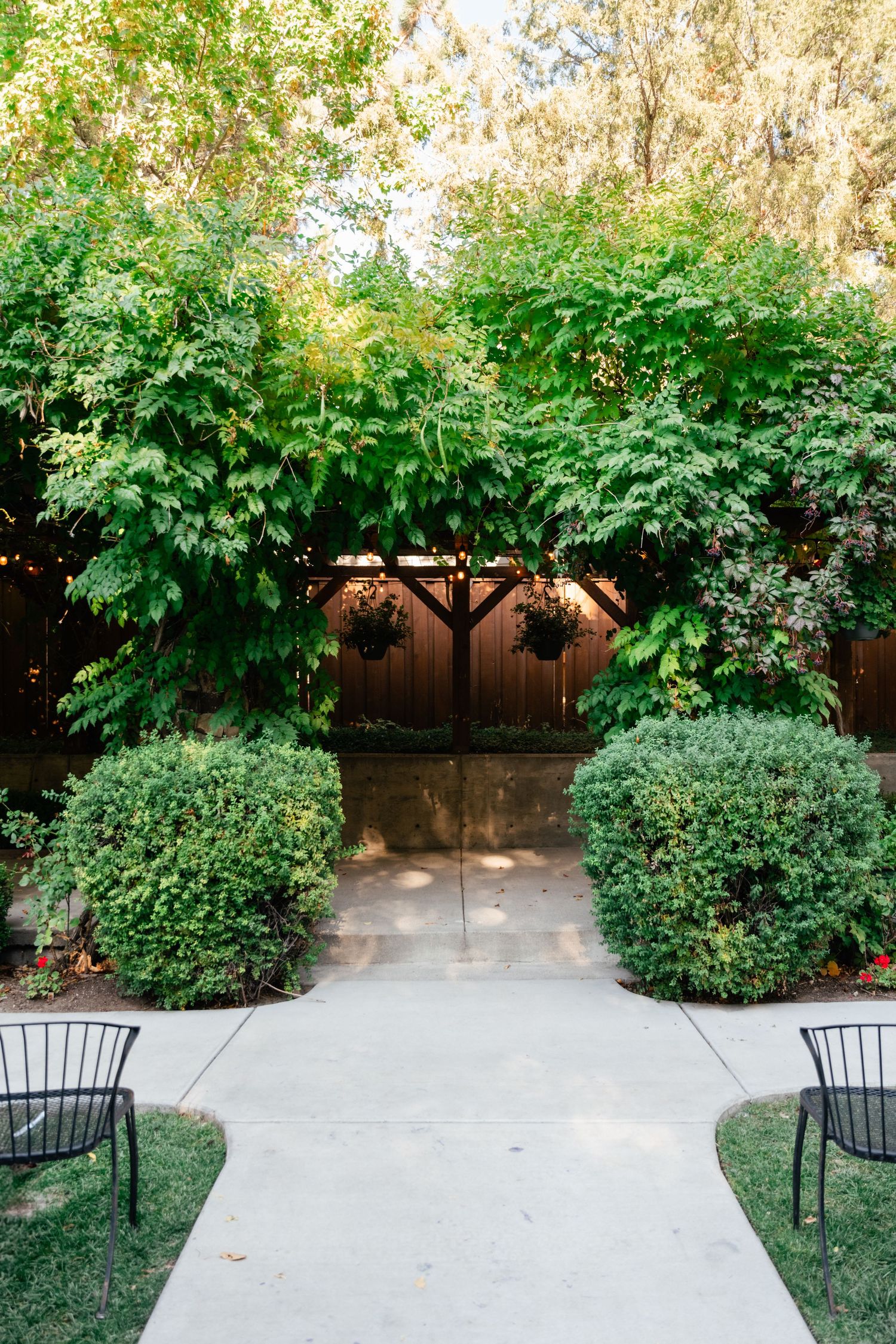 A serene garden walkway with lush greenery, symmetrical hedges and chairs leading to a wooden gate.