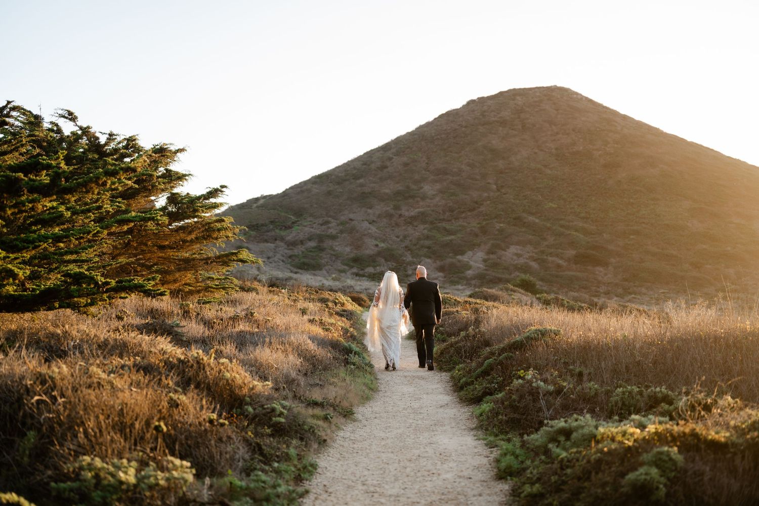 Scenic coastal trail winding through golden hills at sunset.