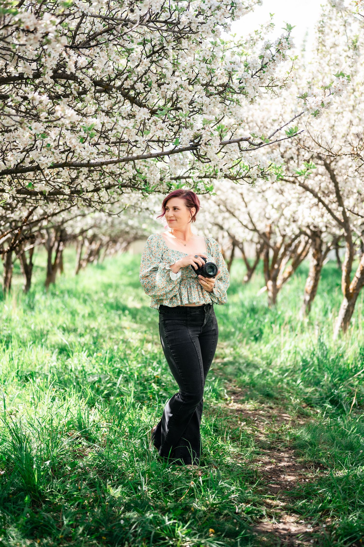 Photographer with camera standing on nature path beneath blooming spring cherry blossom trees in orchard.