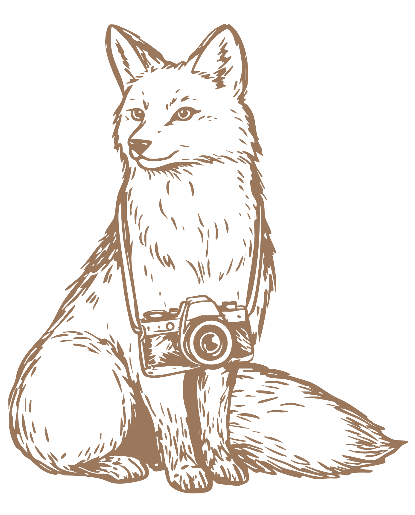 A vintage-style illustration of a fox sitting upright wearing a camera around its neck, rendered in warm brown tones.