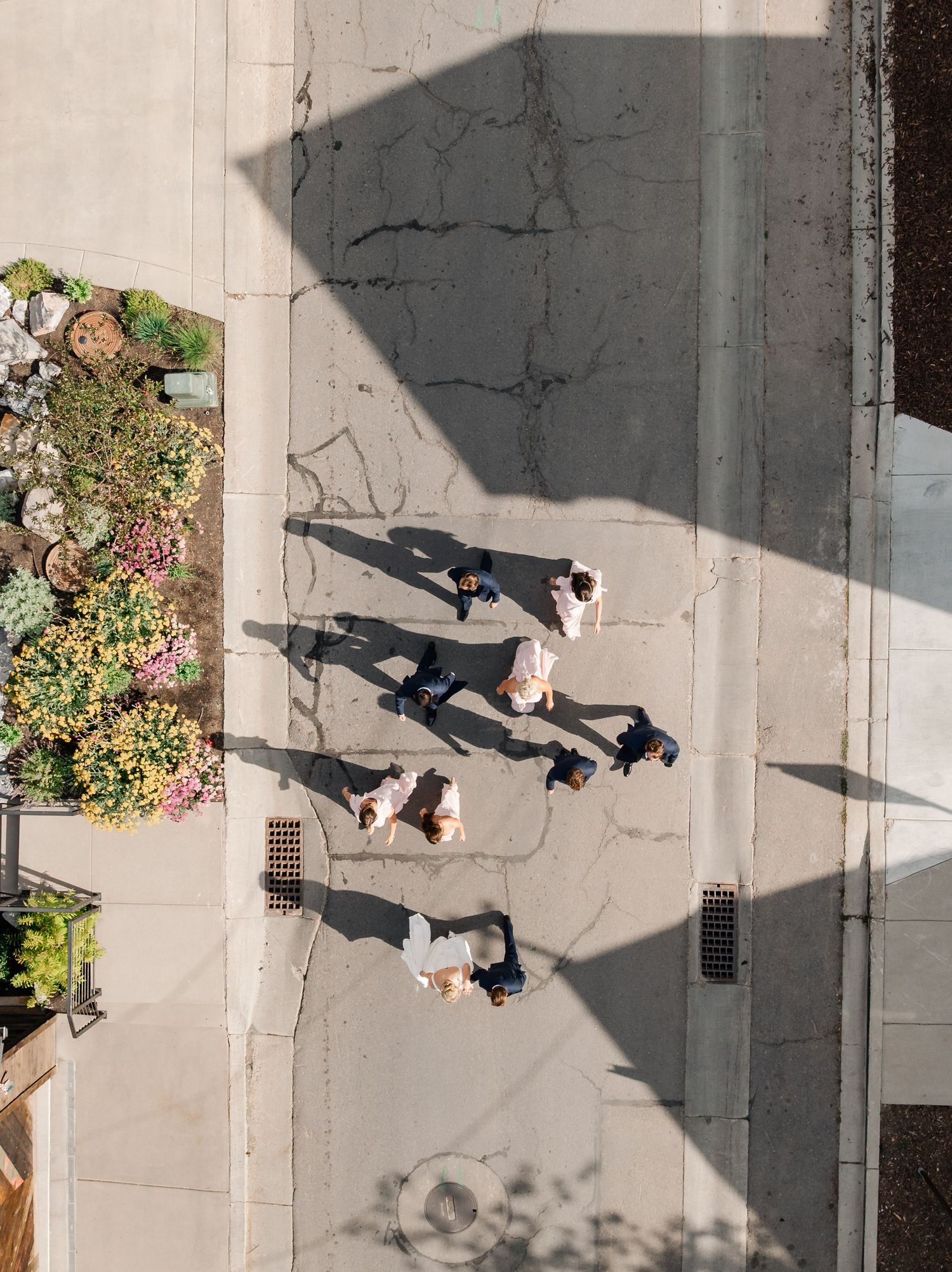 Aerial view of people walking on a concrete sidewalk casting long shadows next to a garden planter.