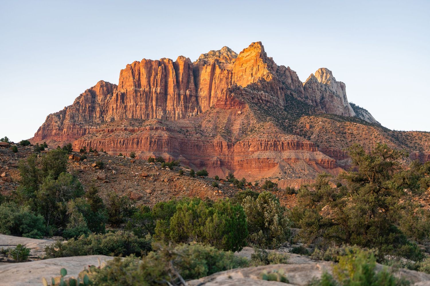 Landscape shot of the natural red rock of Zion's National Park