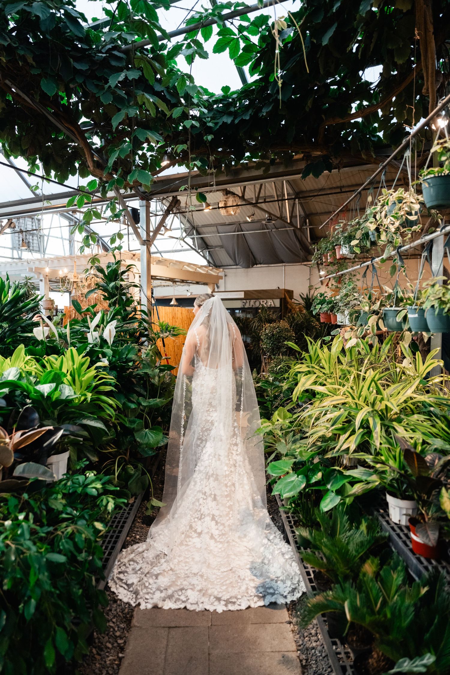 A delicate lace wedding veil hangs in a lush greenhouse garden path surrounded by tropical plants and greenery.