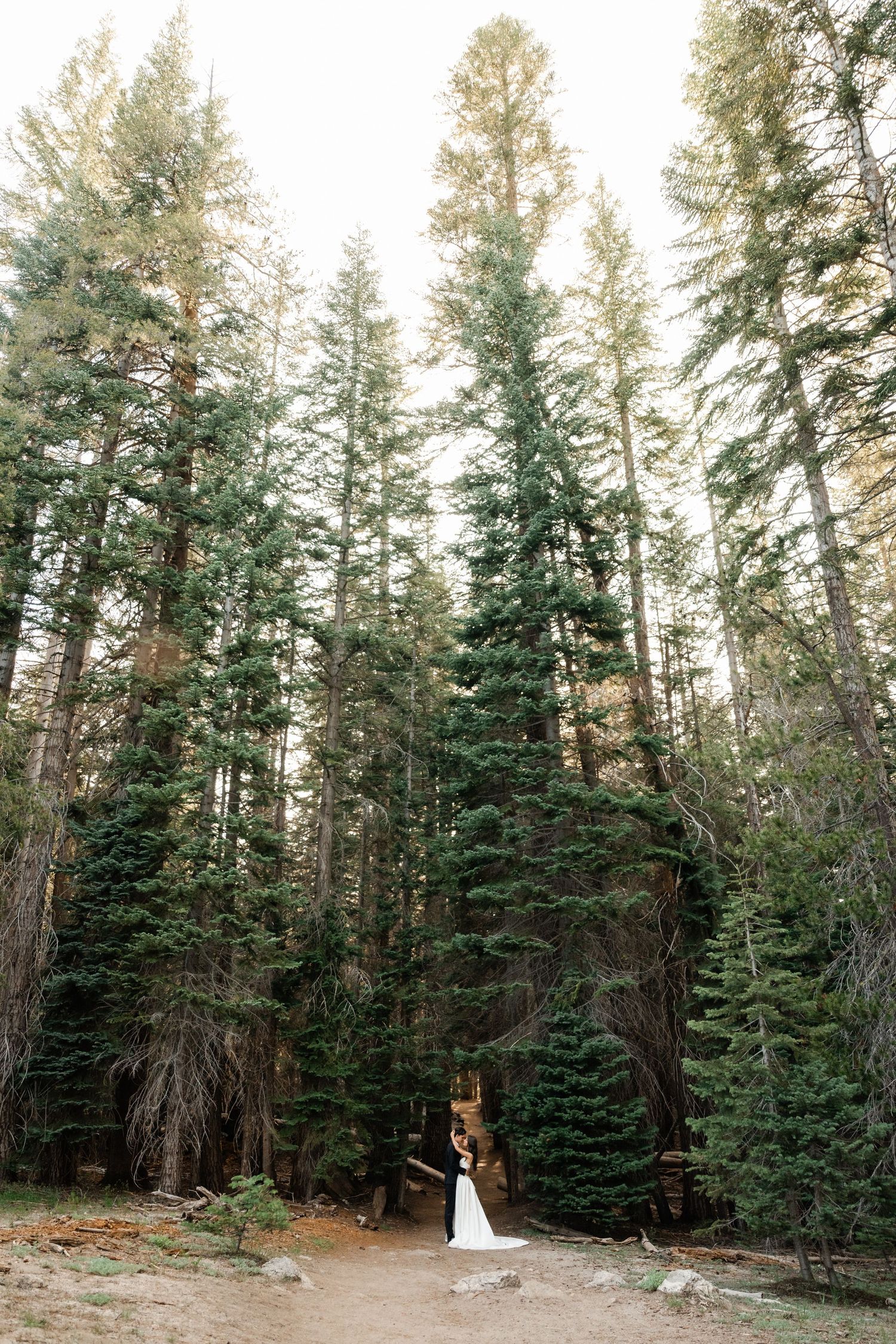 Bride and groom kiss surrounded by towering pine trees on a forest trail in a mountain elopement.