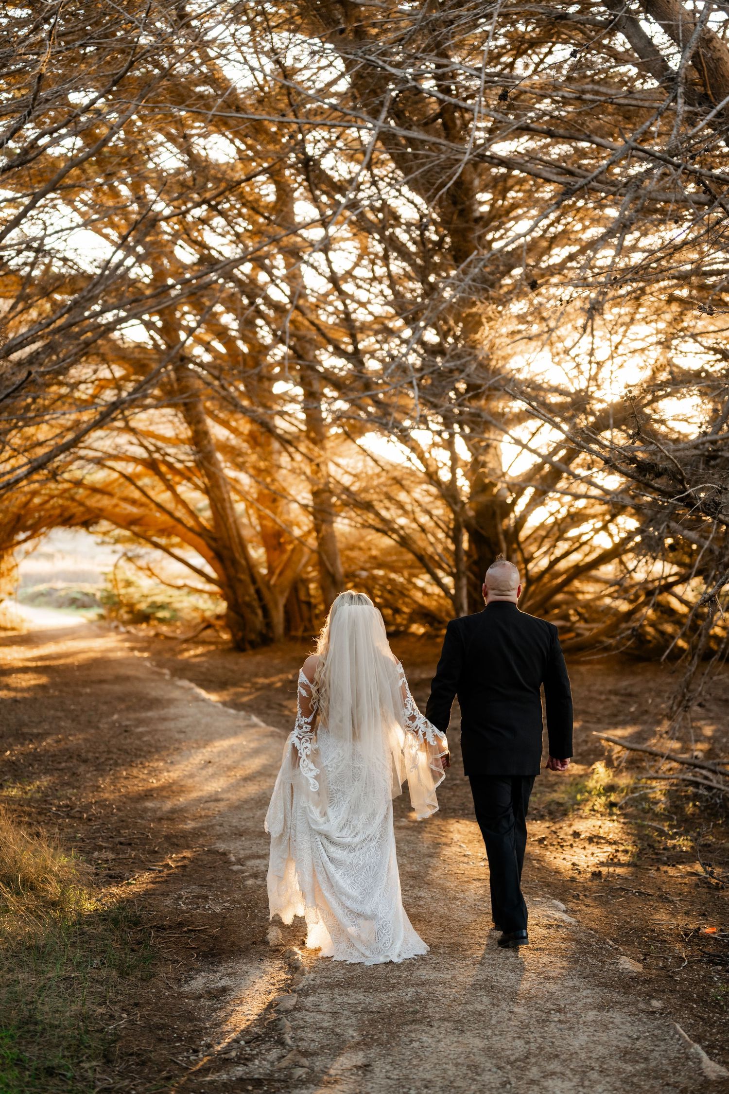 A couple in wedding attire walk hand in hand down a path beneath golden sunlit cypress trees.