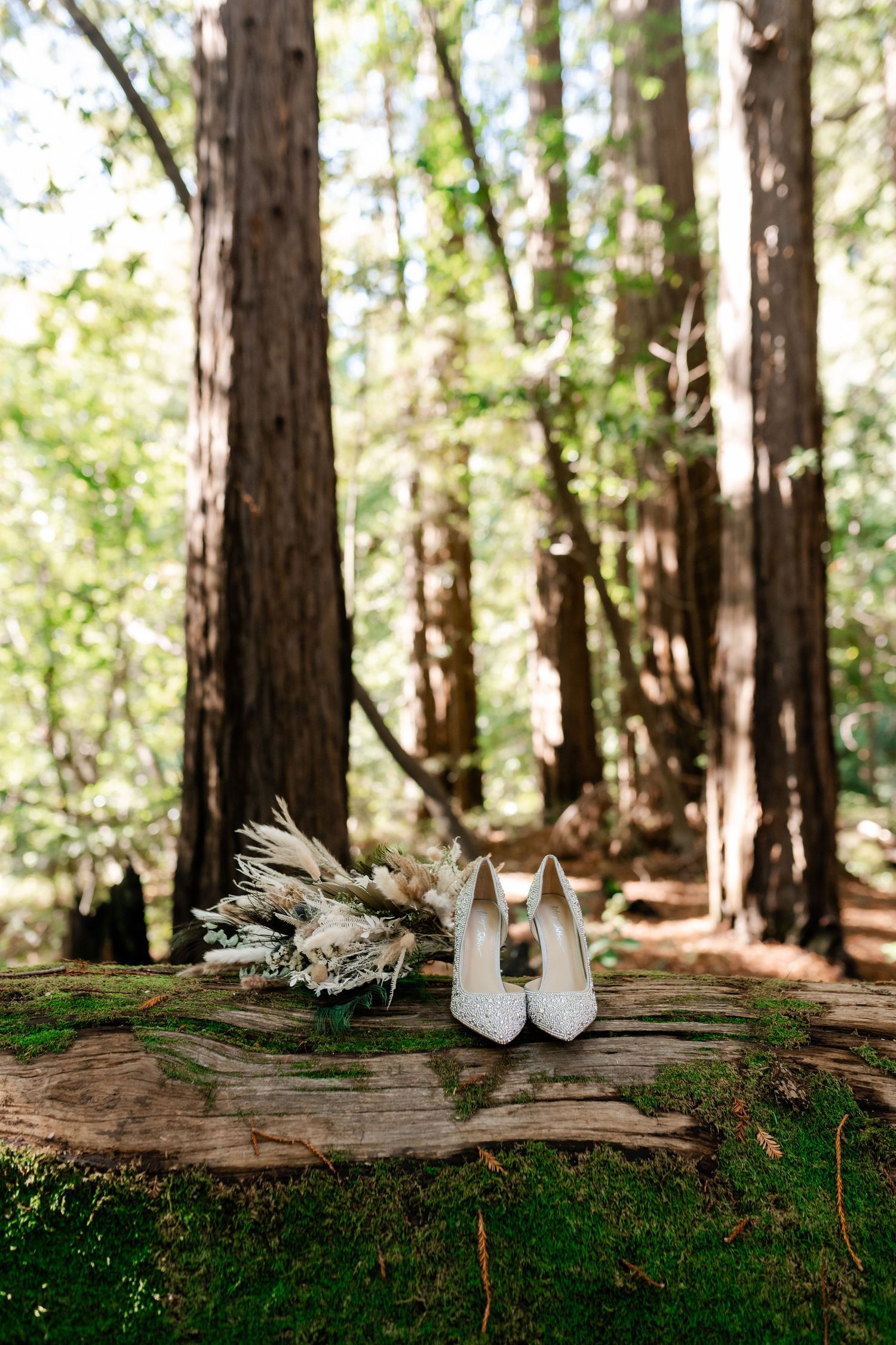 White wedding shoes and bouquet arranged on a mossy log in a serene redwood forest setting.