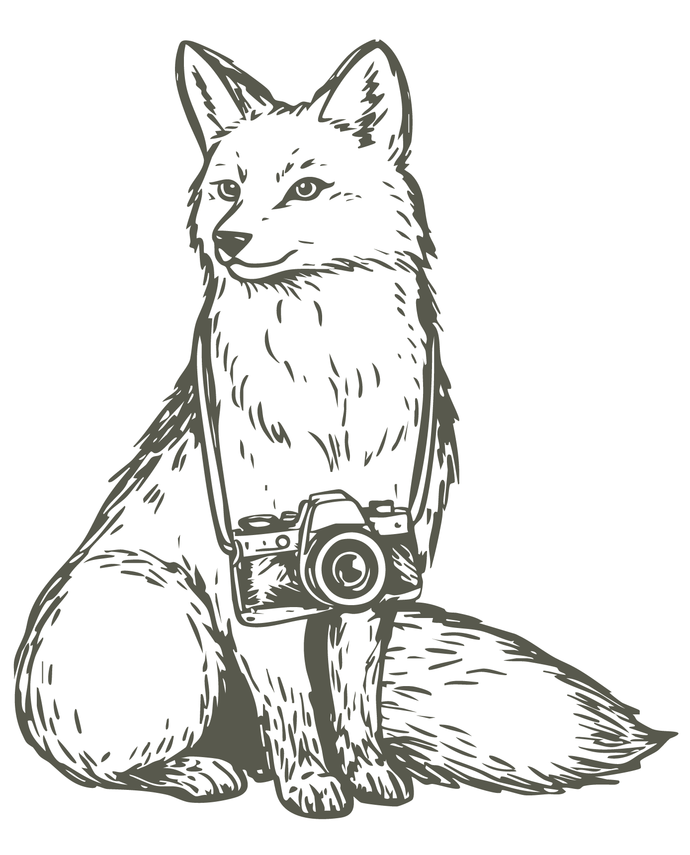 Coley Cook Photography, Best Utah Wedding Photographer. Business logo of a red fox wearing a camera.