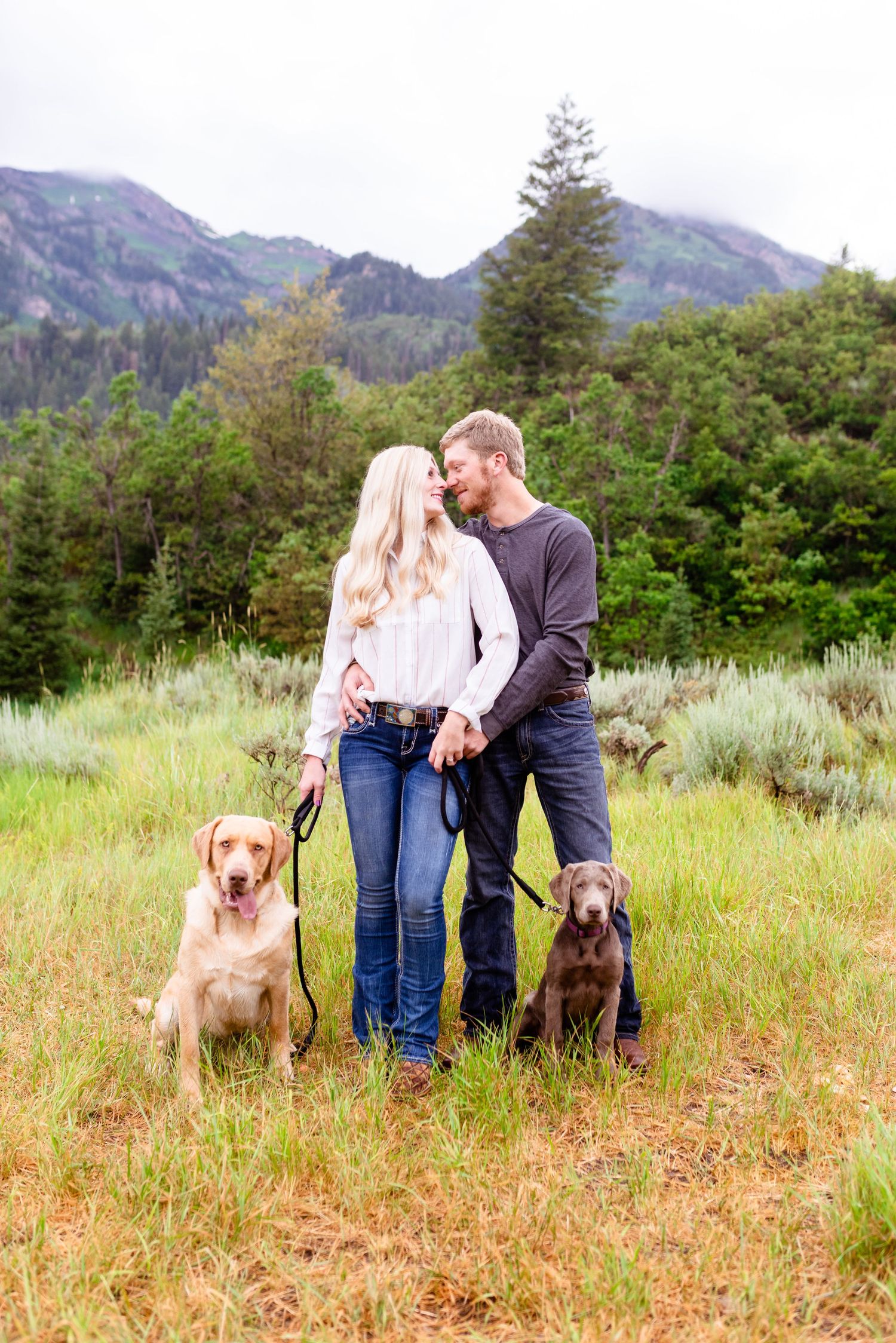 A couple poses with their two dogs in a mountain meadow landscape.