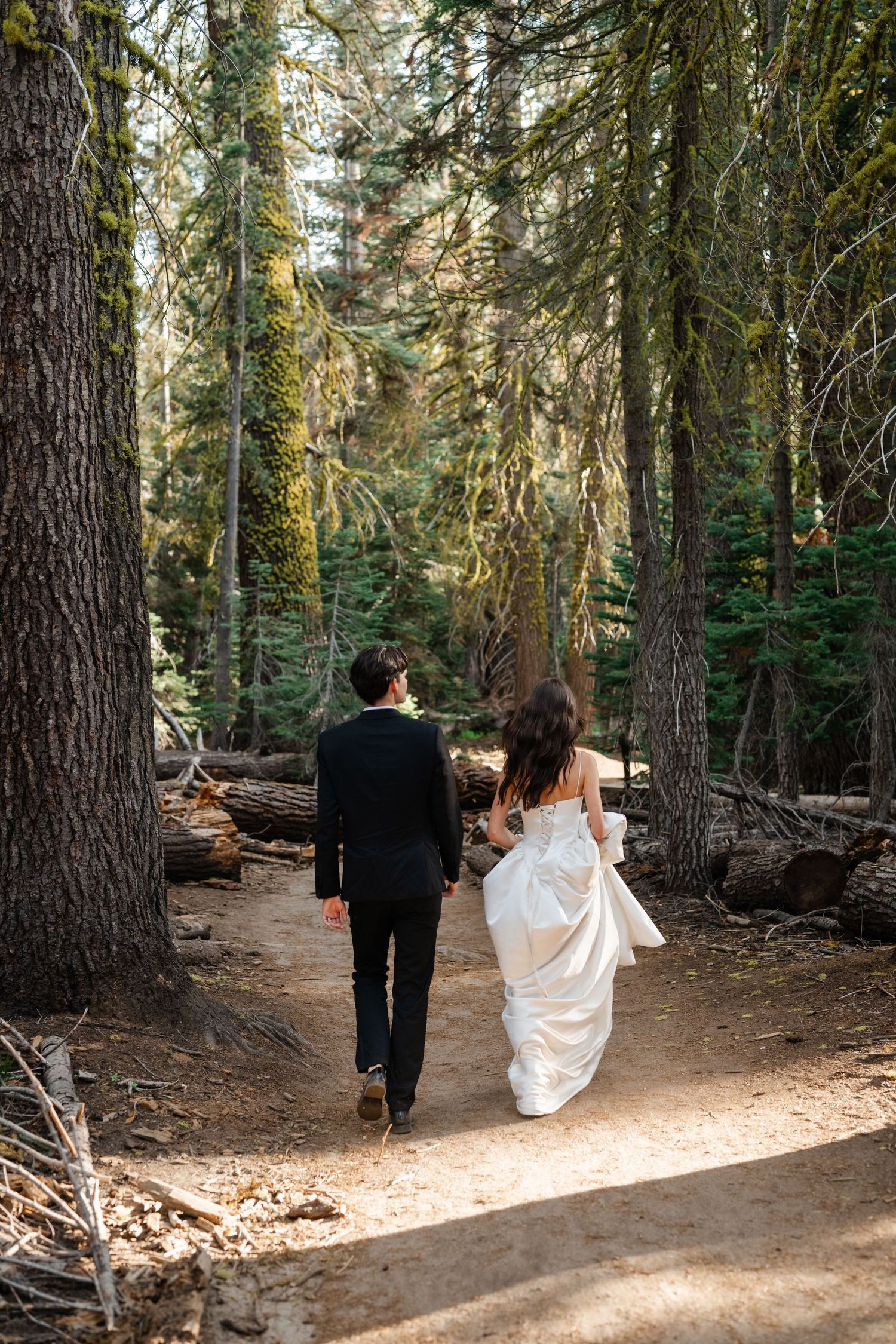 Bride and groom walking hand in hand through a lush pine forest on their wedding day.