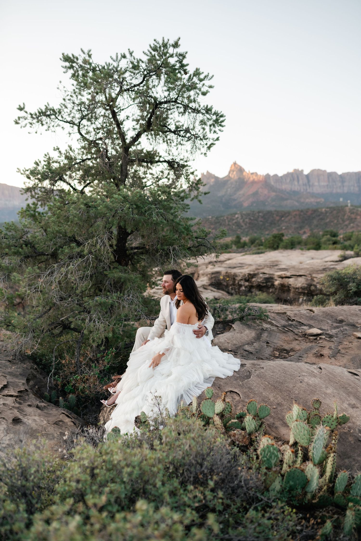 Desert wedding photoshoot among cacti and scrub brush with mountains in background.