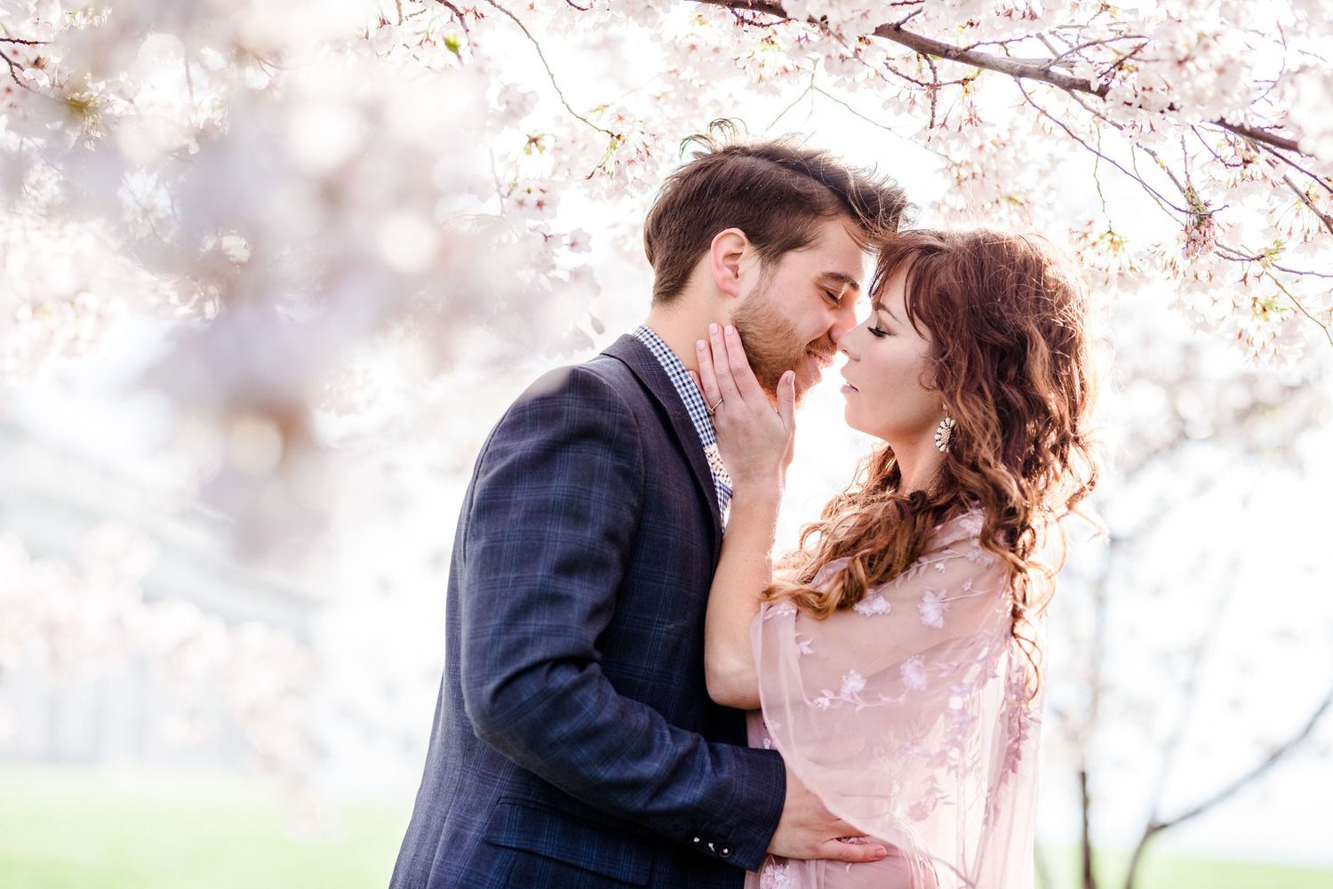 A romantic moment under blooming cherry blossoms with soft pink petals in the background.